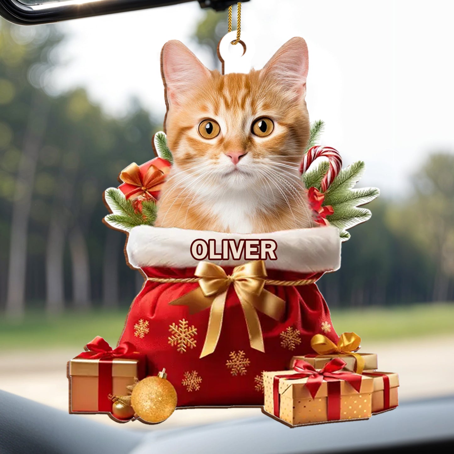 To My Beloved Pet, Merry Christmas