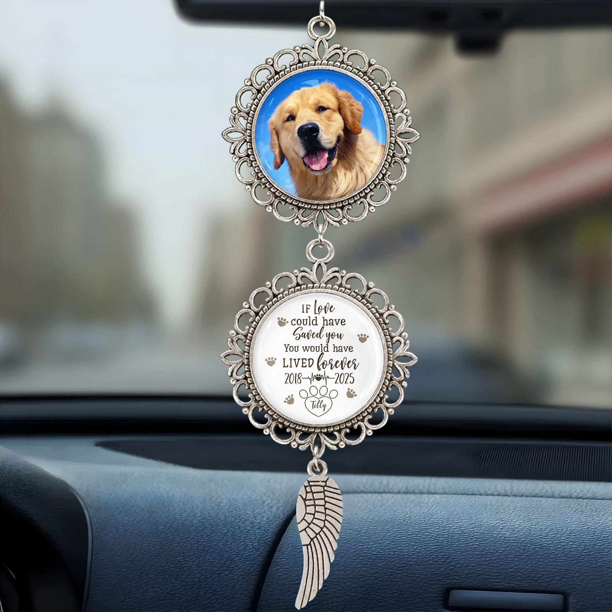 If Love Could Have Saved You, You Would Have Lived Forever, Angel Wing And Pet Photo