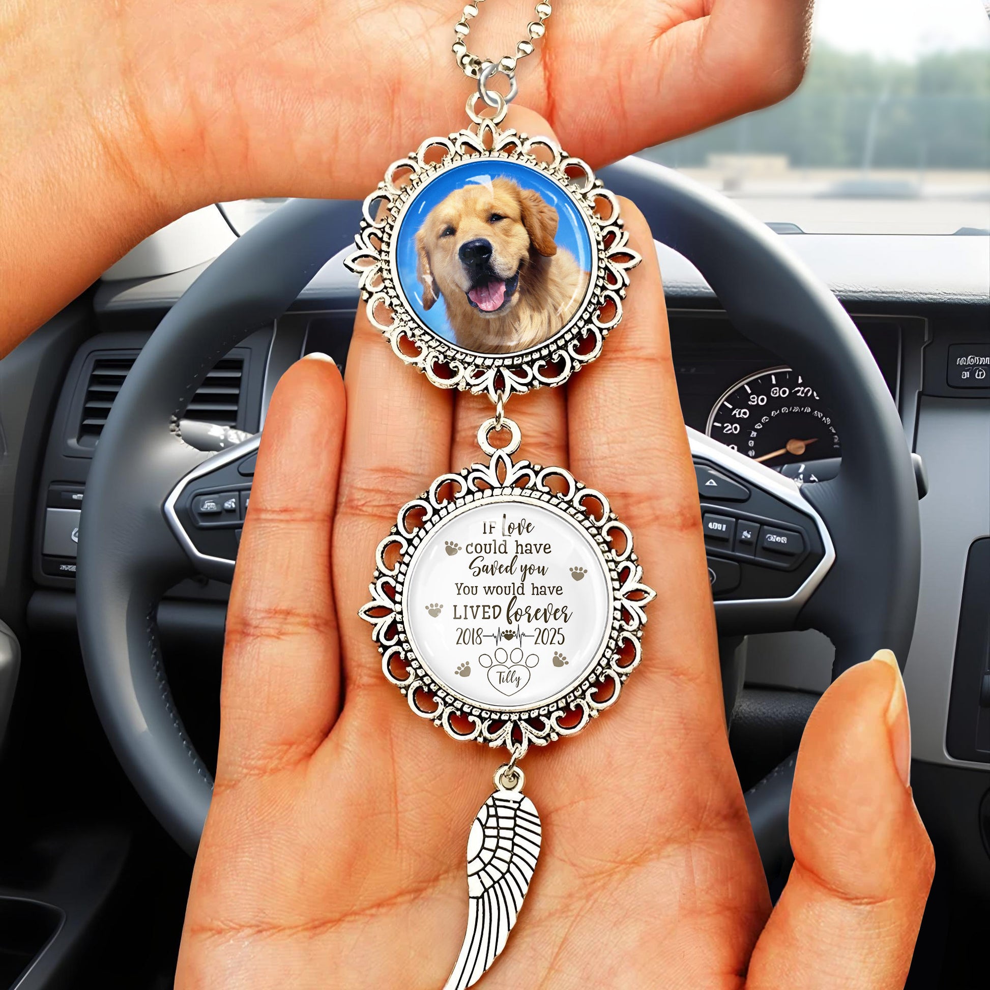 If Love Could Have Saved You, You Would Have Lived Forever, Angel Wing And Pet Photo