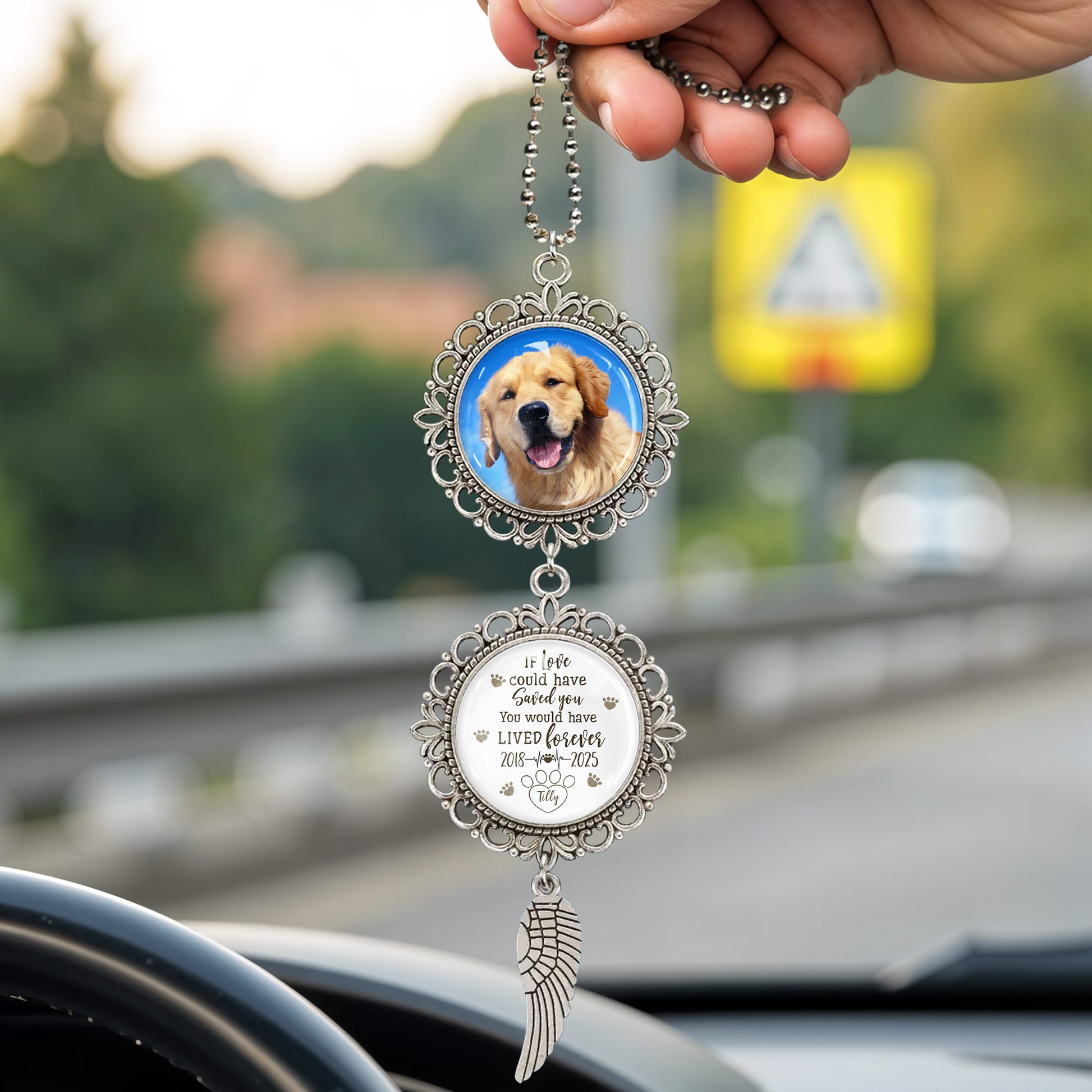 If Love Could Have Saved You, You Would Have Lived Forever, Angel Wing And Pet Photo