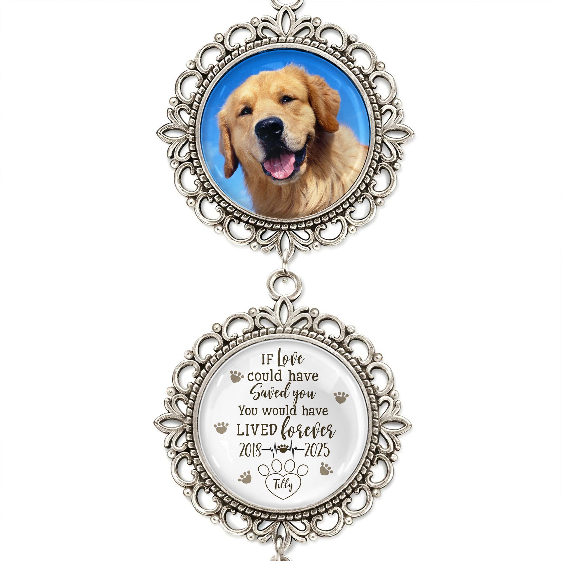 If Love Could Have Saved You, You Would Have Lived Forever, Angel Wing And Pet Photo