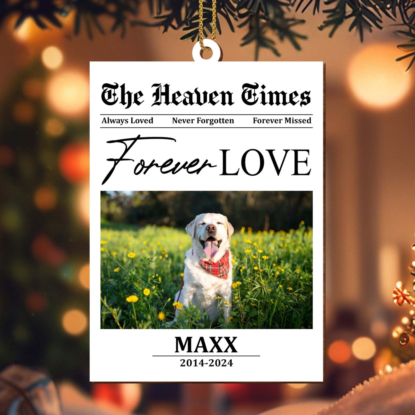 Always Loved Never Forgotten Forever Missed Dog Memorial