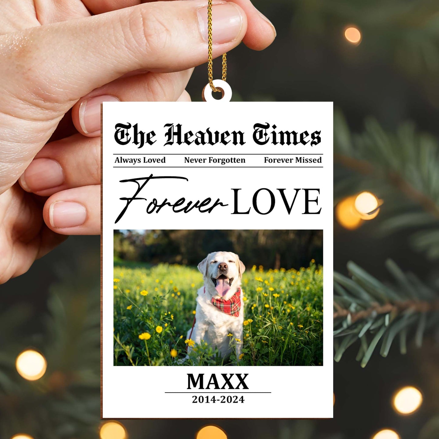 Always Loved Never Forgotten Forever Missed Dog Memorial