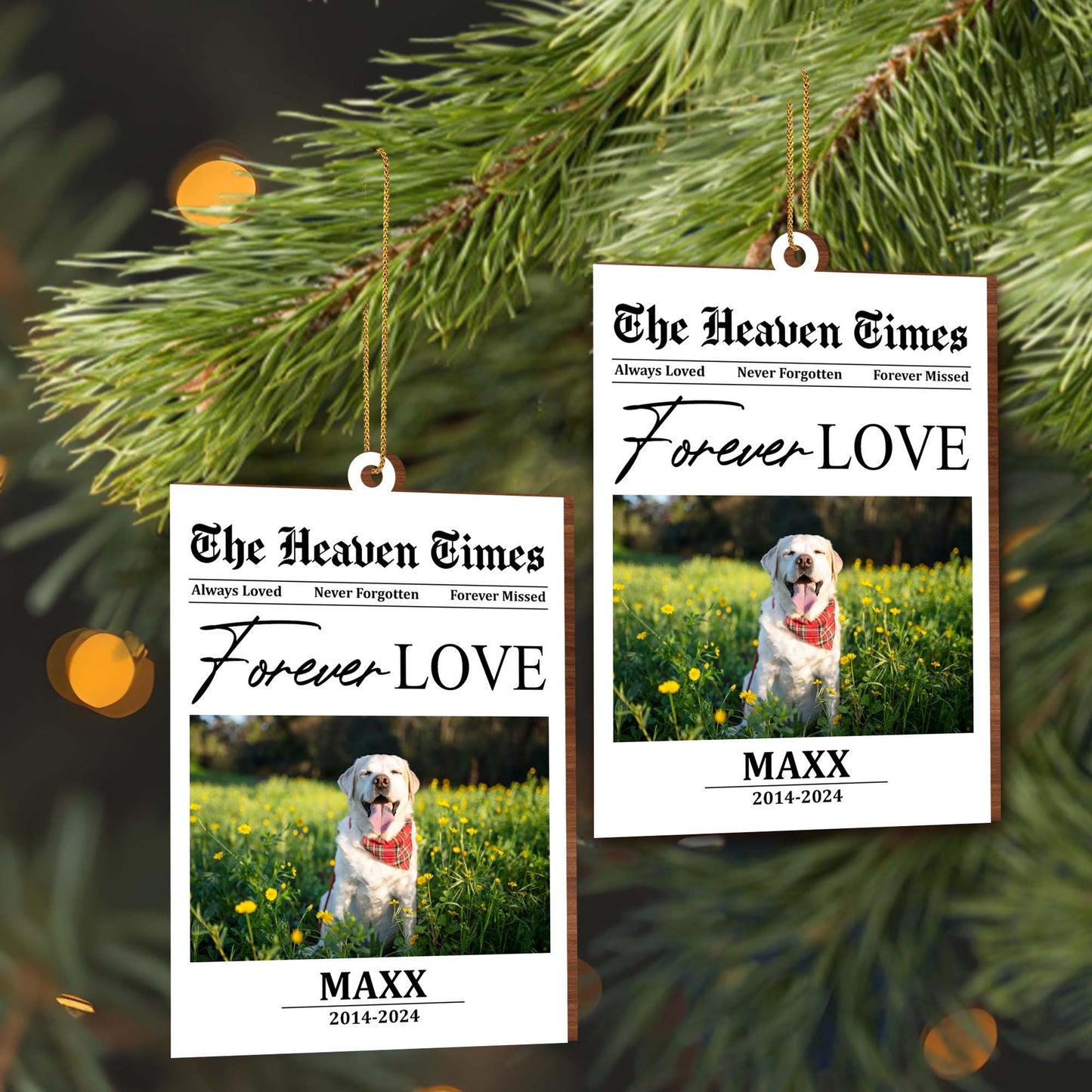 Always Loved Never Forgotten Forever Missed Dog Memorial