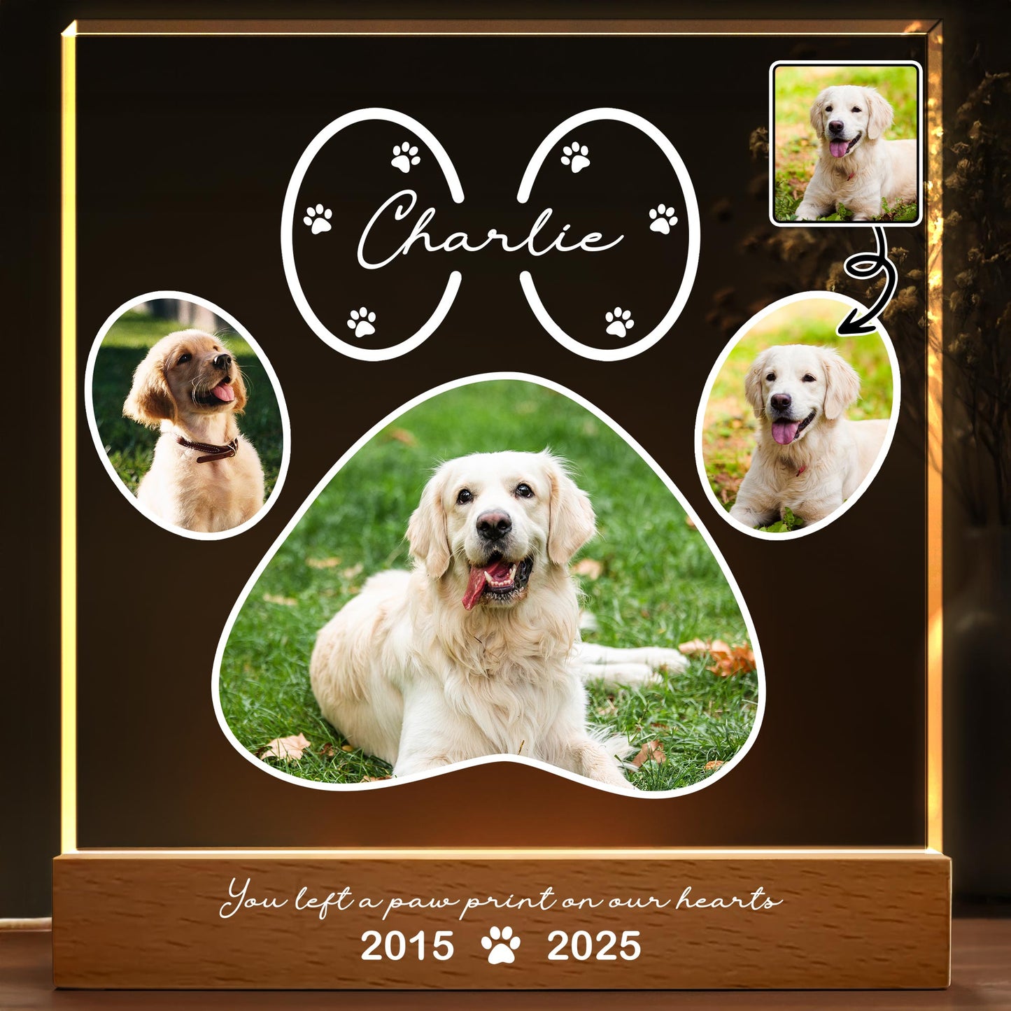 You Left A Paw Print On Our Hearts, Dog and Paws