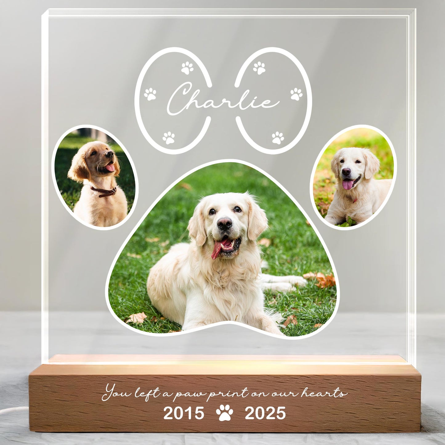 You Left A Paw Print On Our Hearts, Dog and Paws