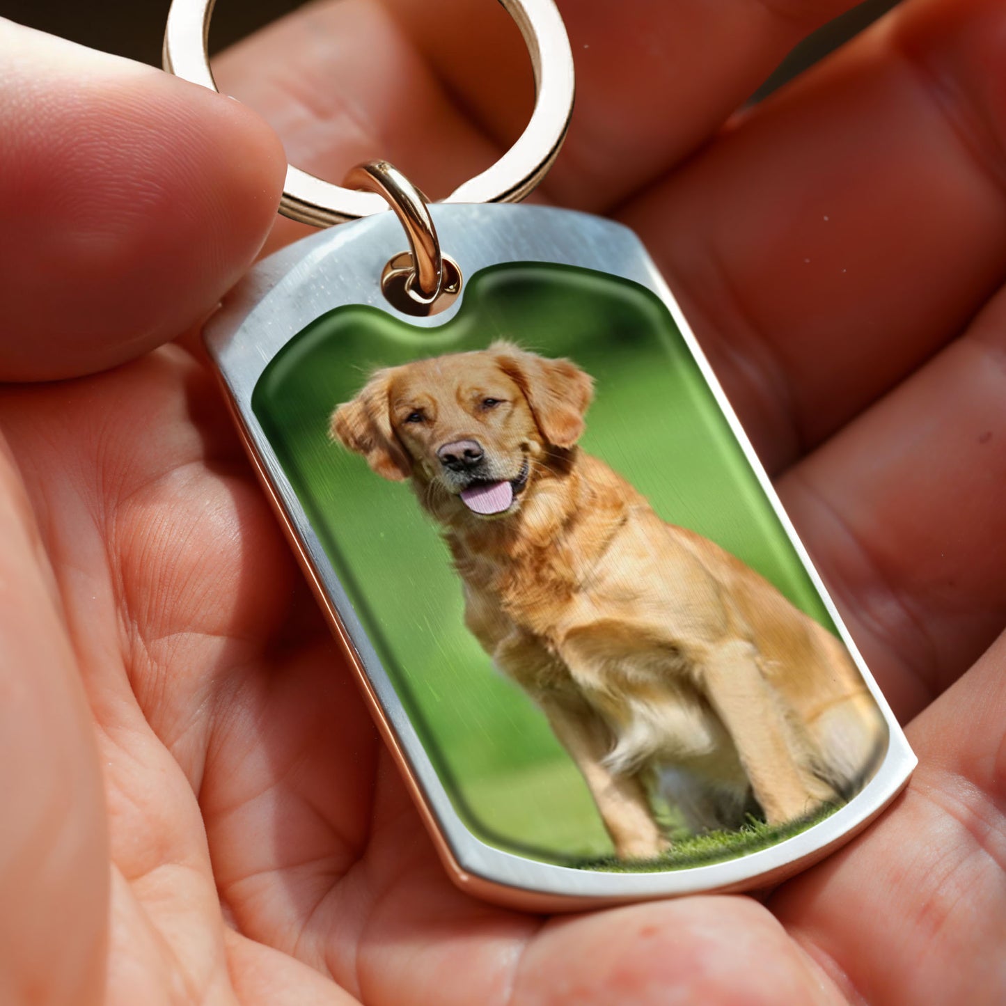 The Moment Your Heart Stopped Mine Changed Forever, Dog