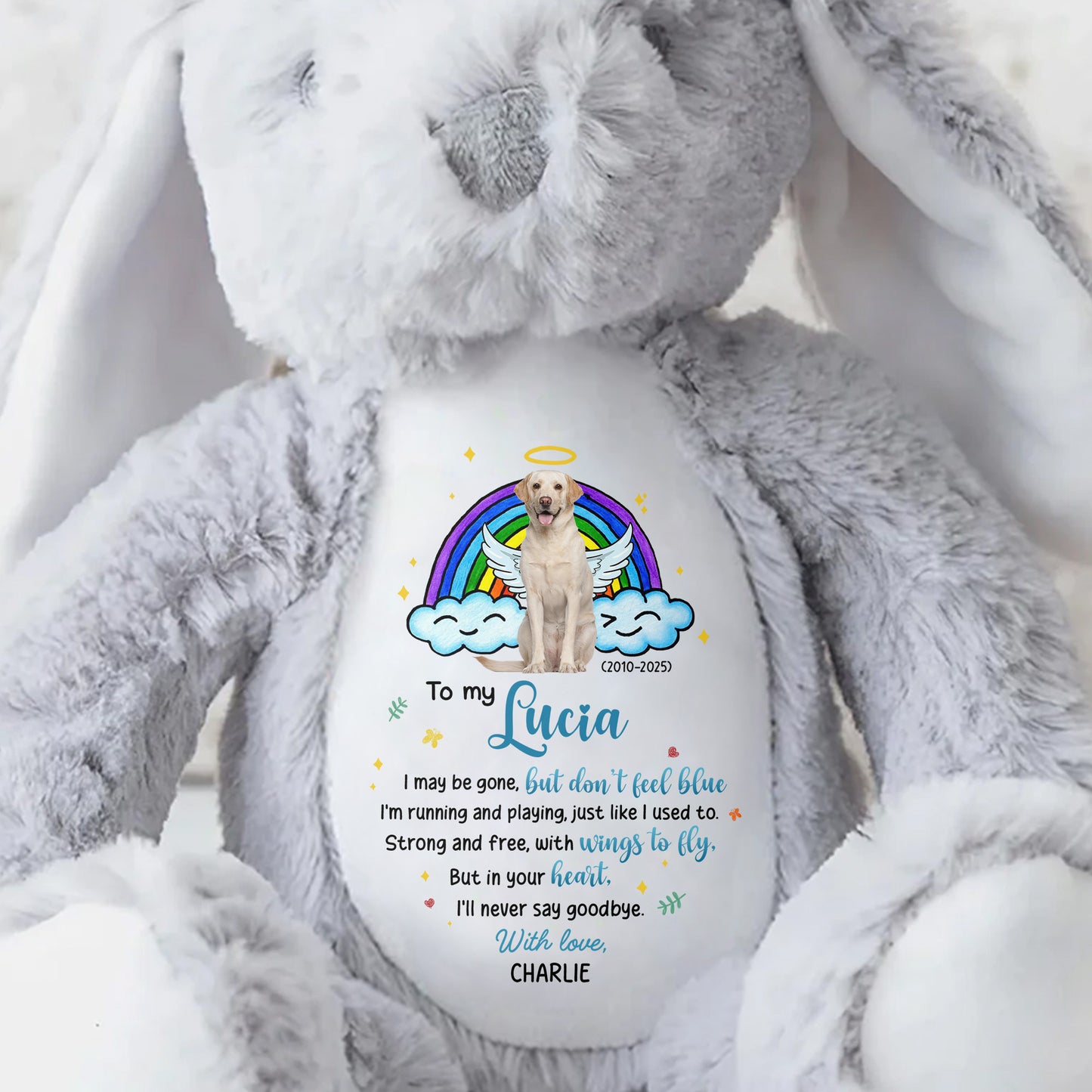 To My Lucia, I may be gone, but don't feel blue, Rainbow and Angel Dog