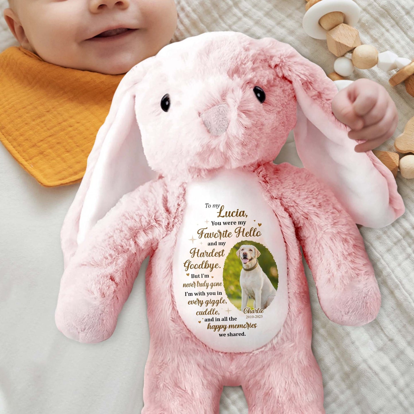 To My Lucia, You Were My Favorite Hello, Stuffed Bunny And Dog