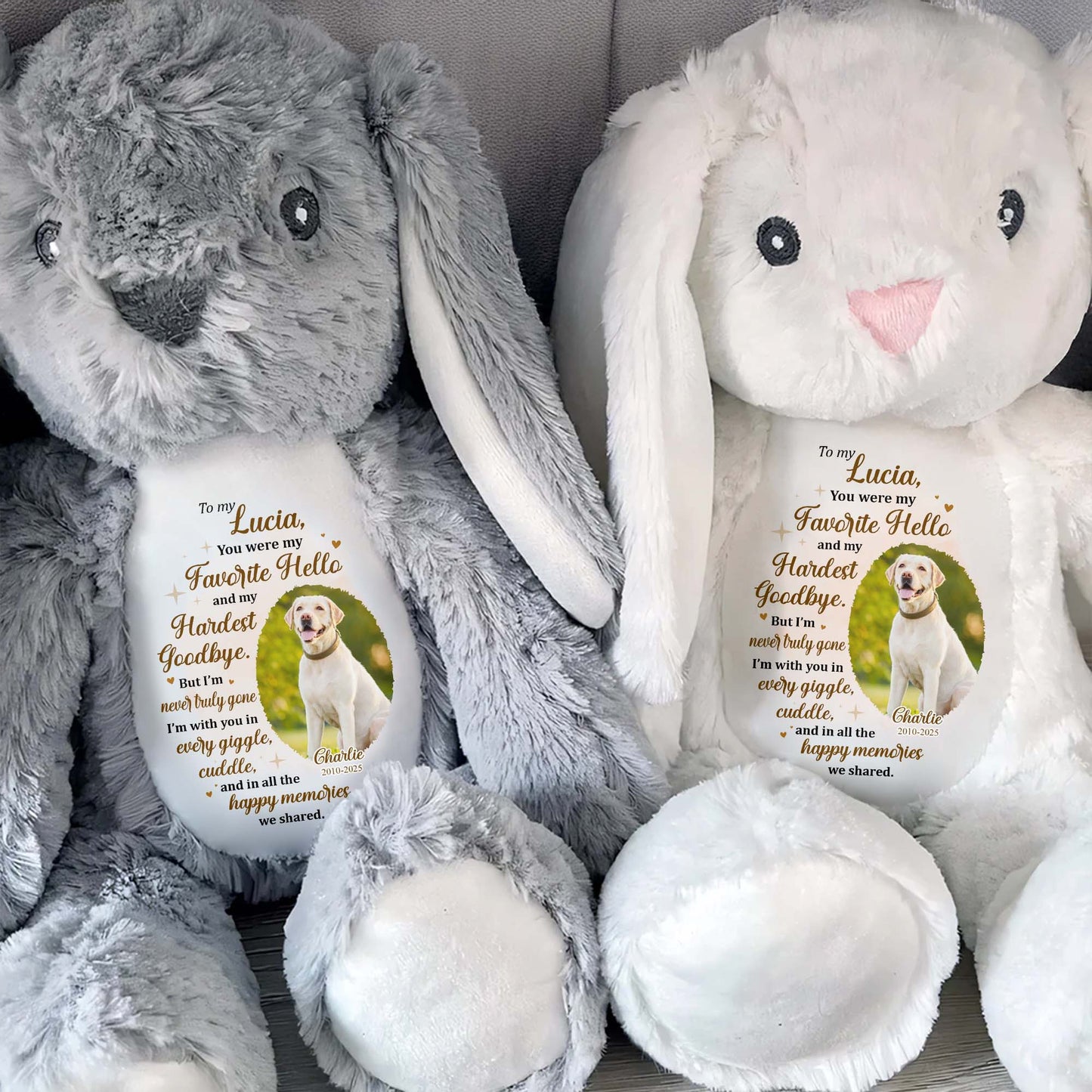 To My Lucia, You Were My Favorite Hello, Stuffed Bunny And Dog