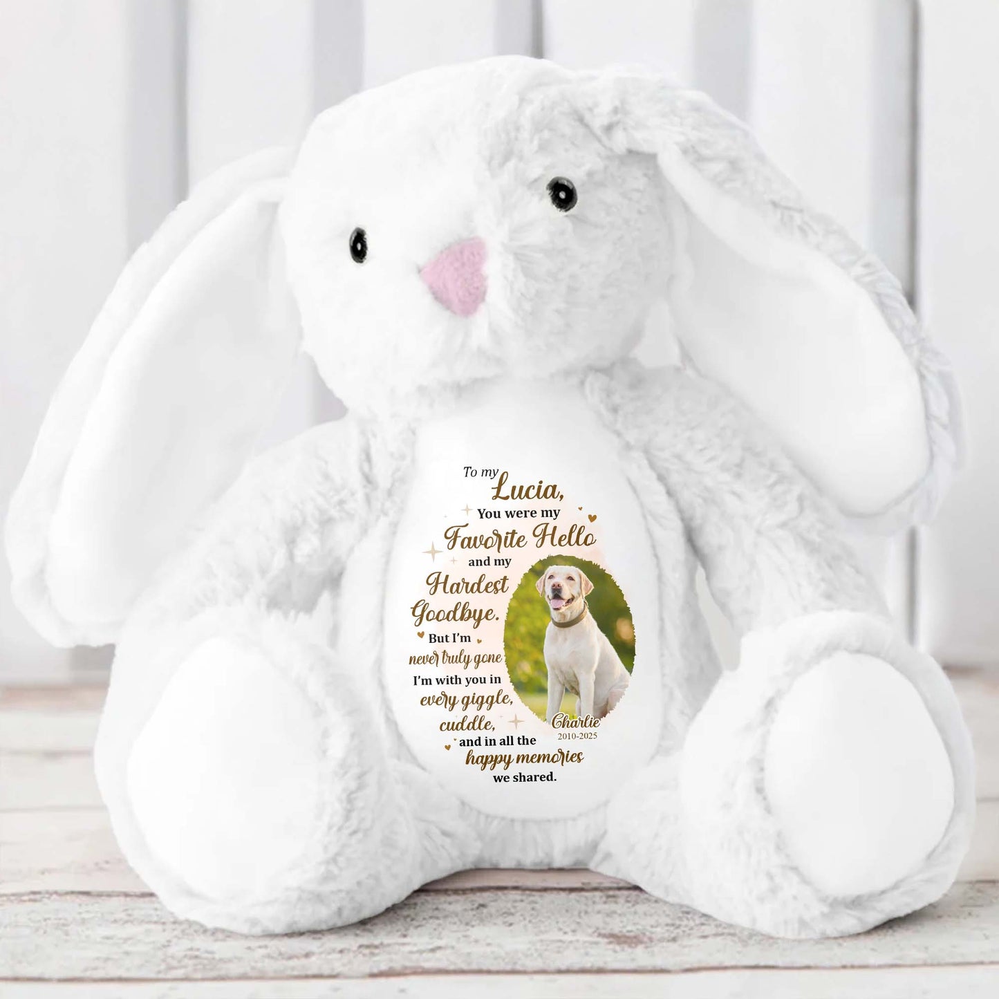 To My Lucia, You Were My Favorite Hello, Stuffed Bunny And Dog