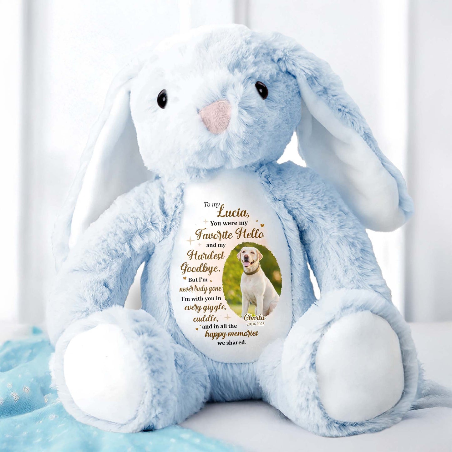 To My Lucia, You Were My Favorite Hello, Stuffed Bunny And Dog