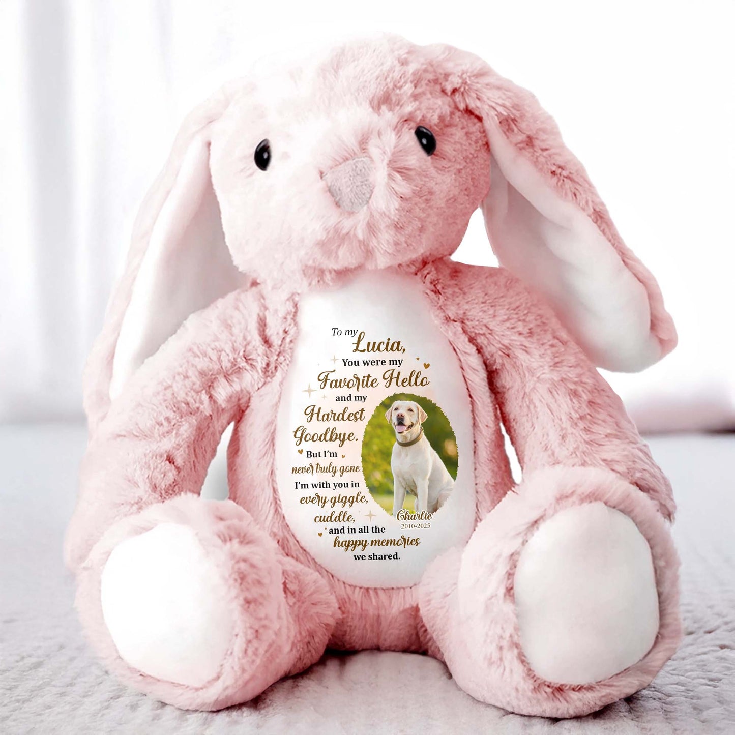 To My Lucia, You Were My Favorite Hello, Stuffed Bunny And Dog