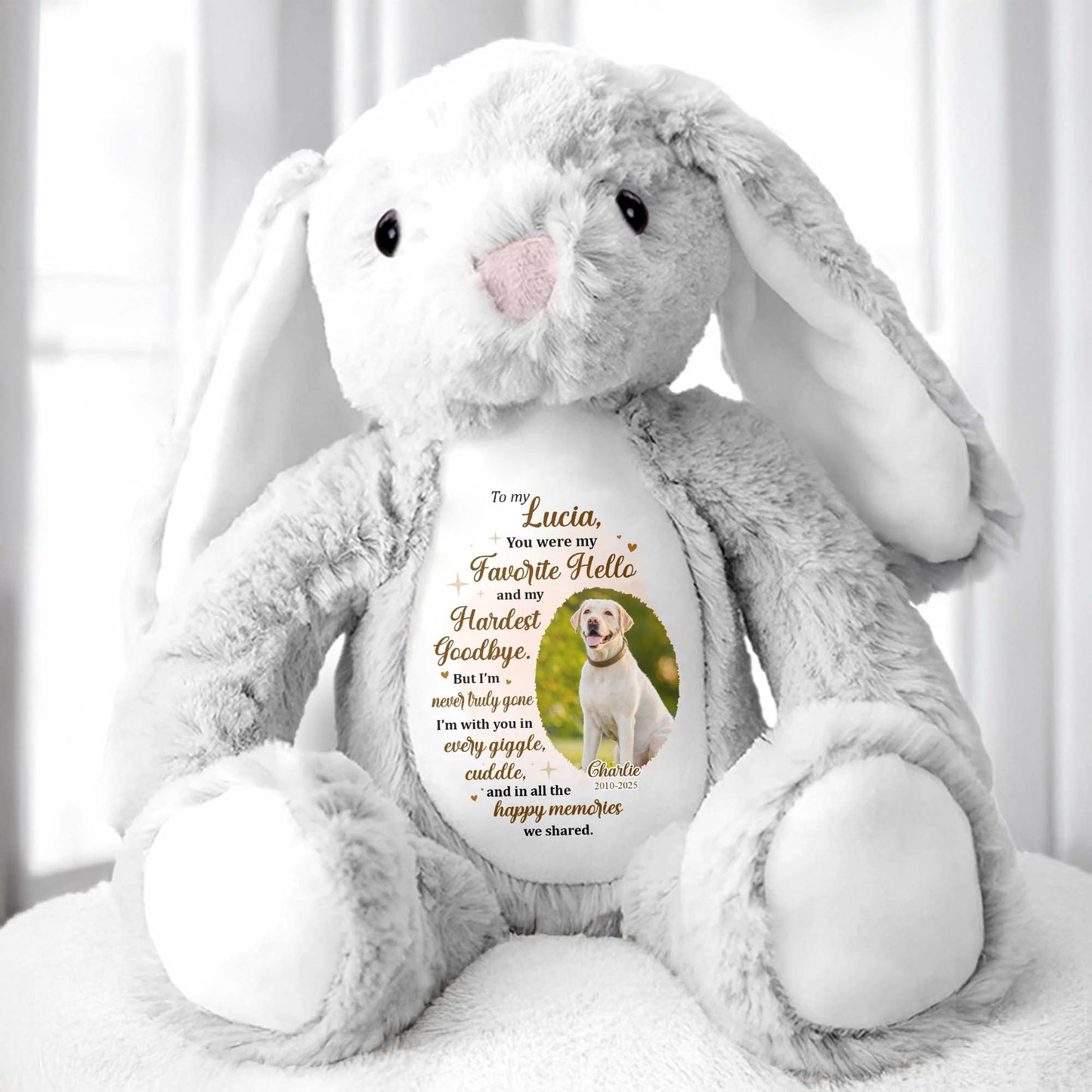 To My Lucia, You Were My Favorite Hello, Stuffed Bunny And Dog