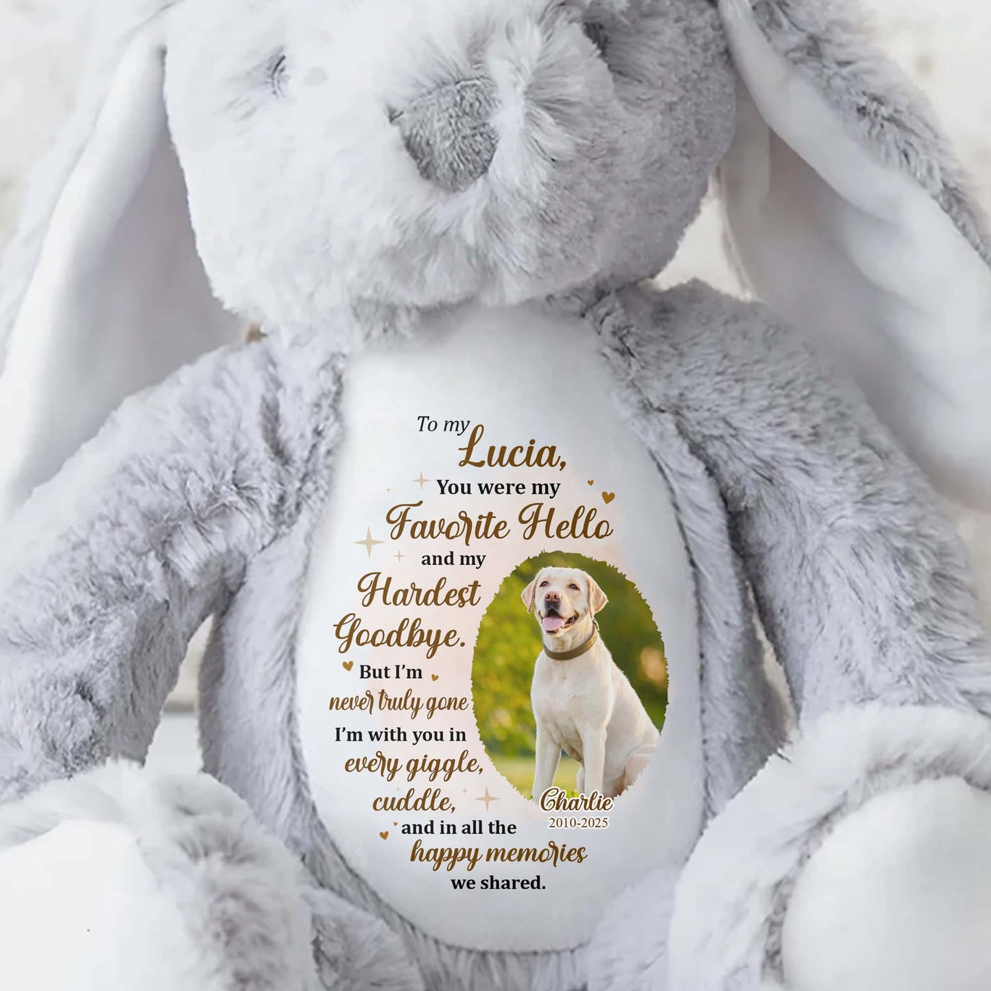 To My Lucia, You Were My Favorite Hello, Stuffed Bunny And Dog