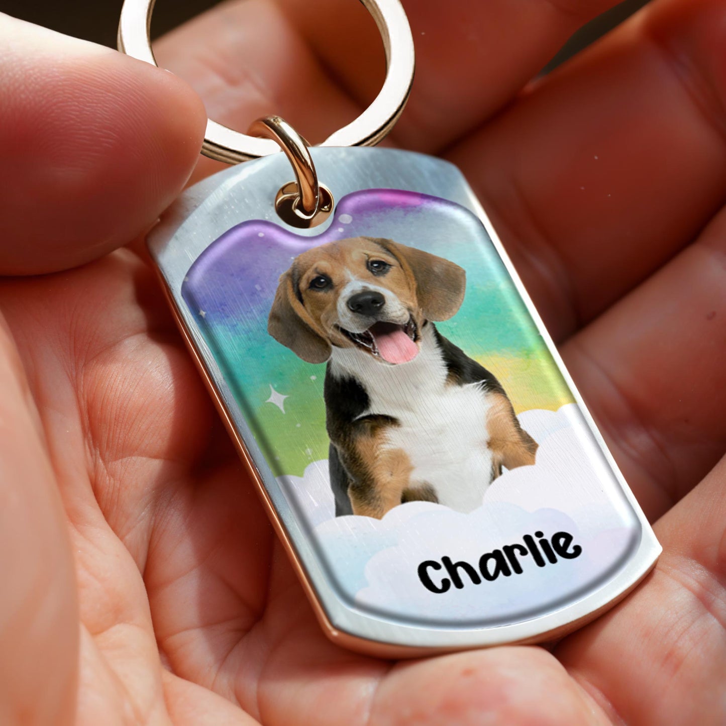 Just For Now We Are Apart, Dog at Rainbow Bridge With Paw Prints