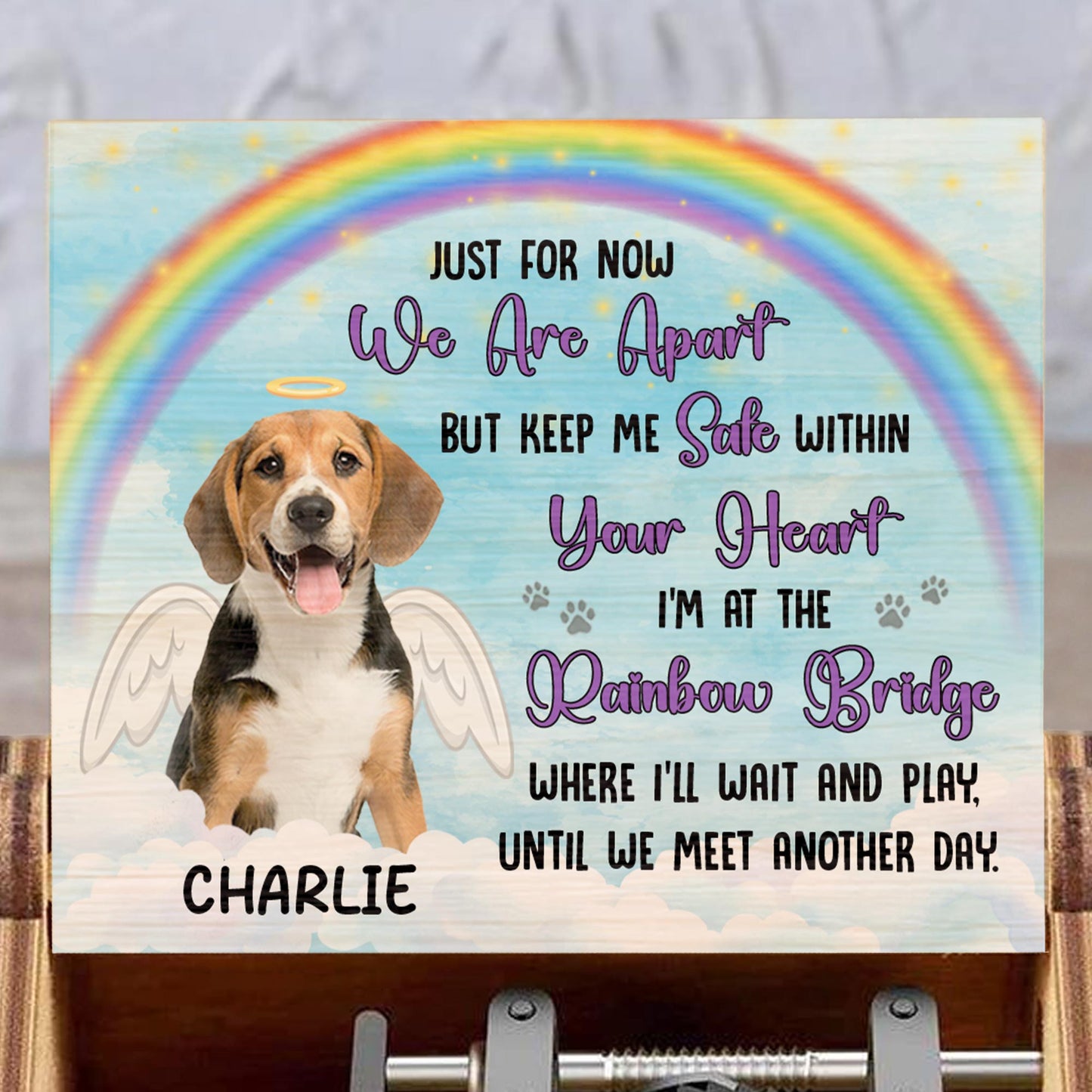 Just For Now We Are Apart, Rainbow, Dog, Wings, Paw Prints