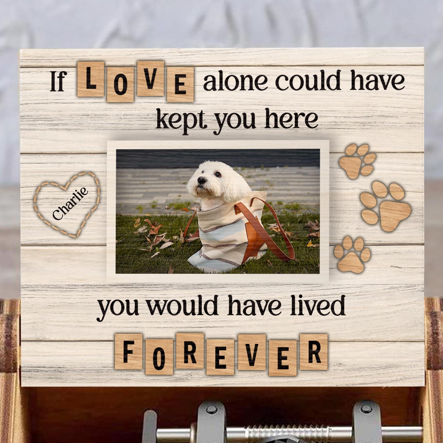 If Love Alone Could Have Kept You Here, Dog and Paw Prints