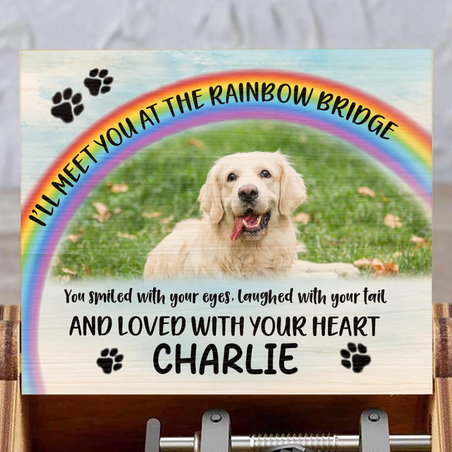 I'll Meet You At The Rainbow Bridge, Rainbow and Dog