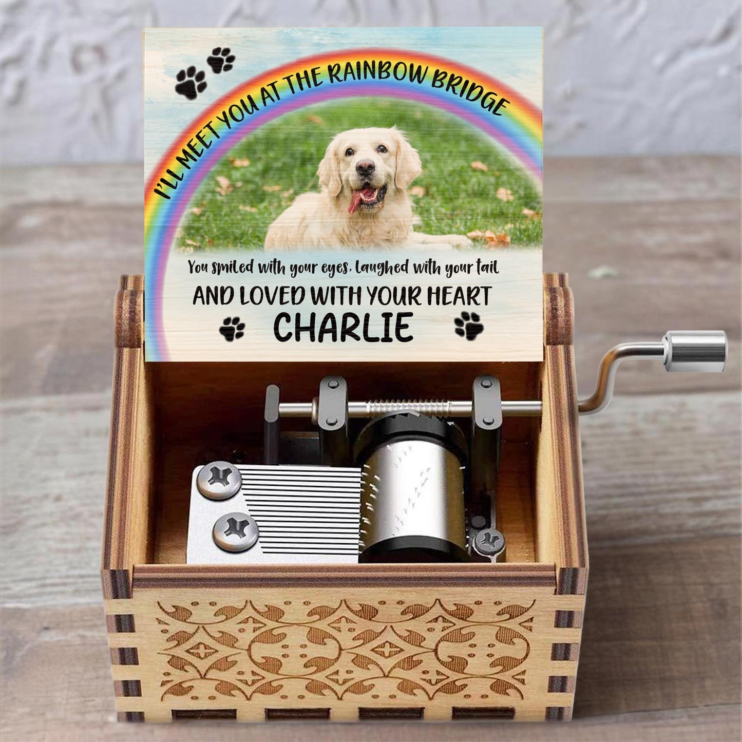 I'll Meet You At The Rainbow Bridge, Rainbow and Dog