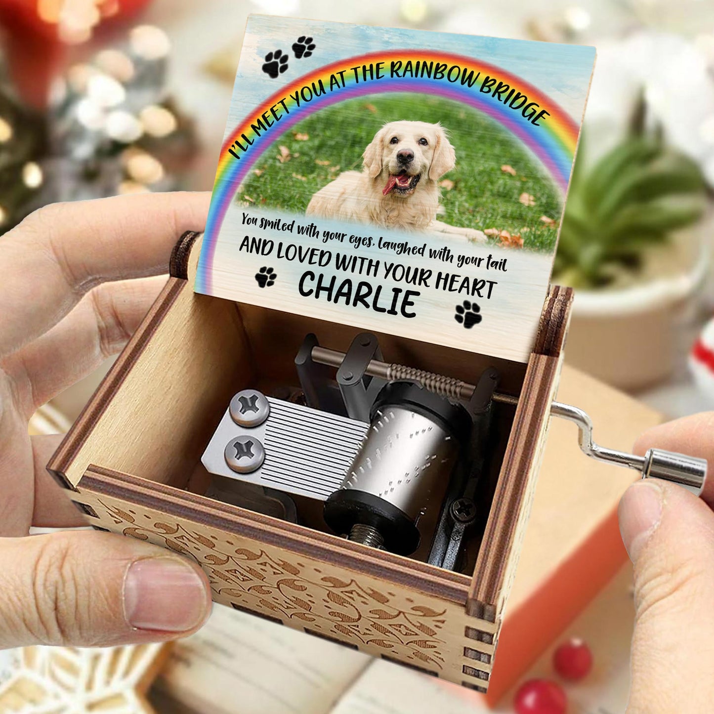 I'll Meet You At The Rainbow Bridge, Rainbow and Dog