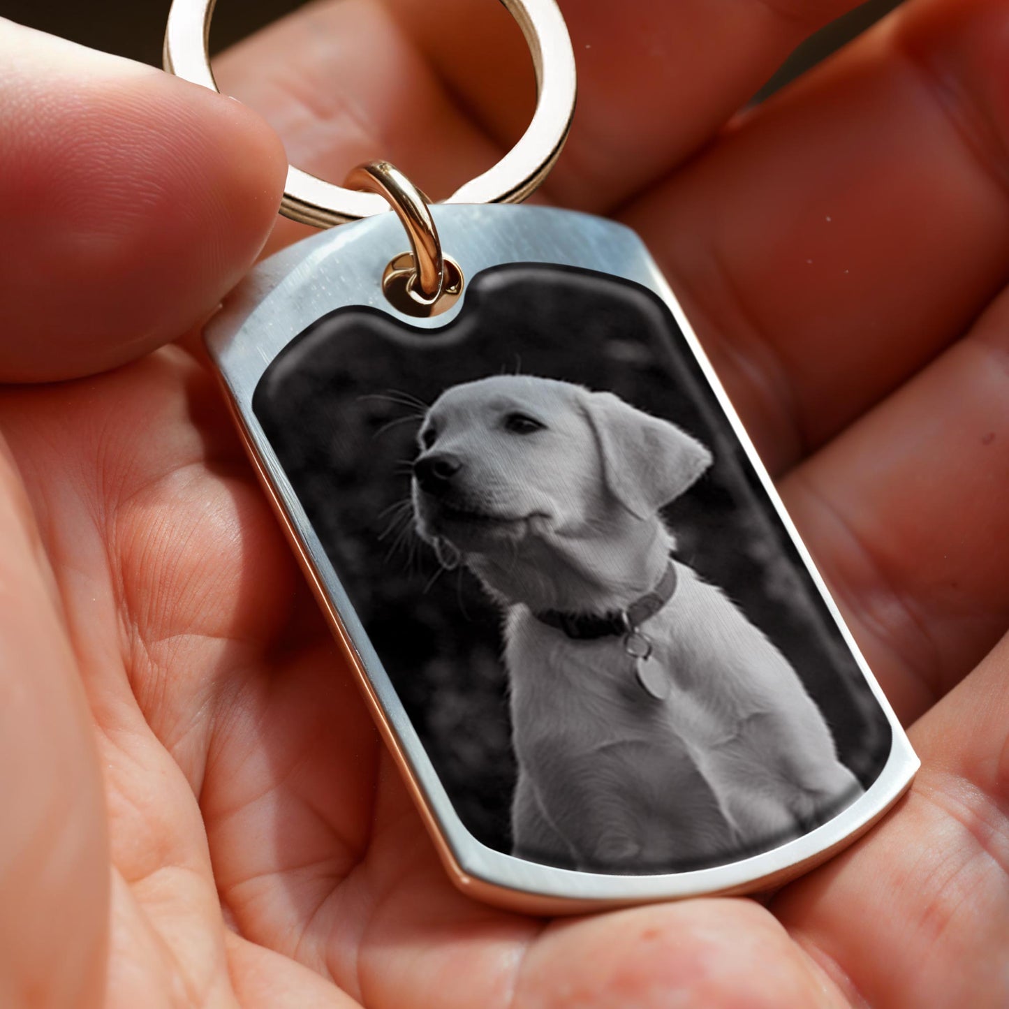 Best Friends Come Into Our Lives And Leave Pawprints On Our Hearts, Dog And Pawprints