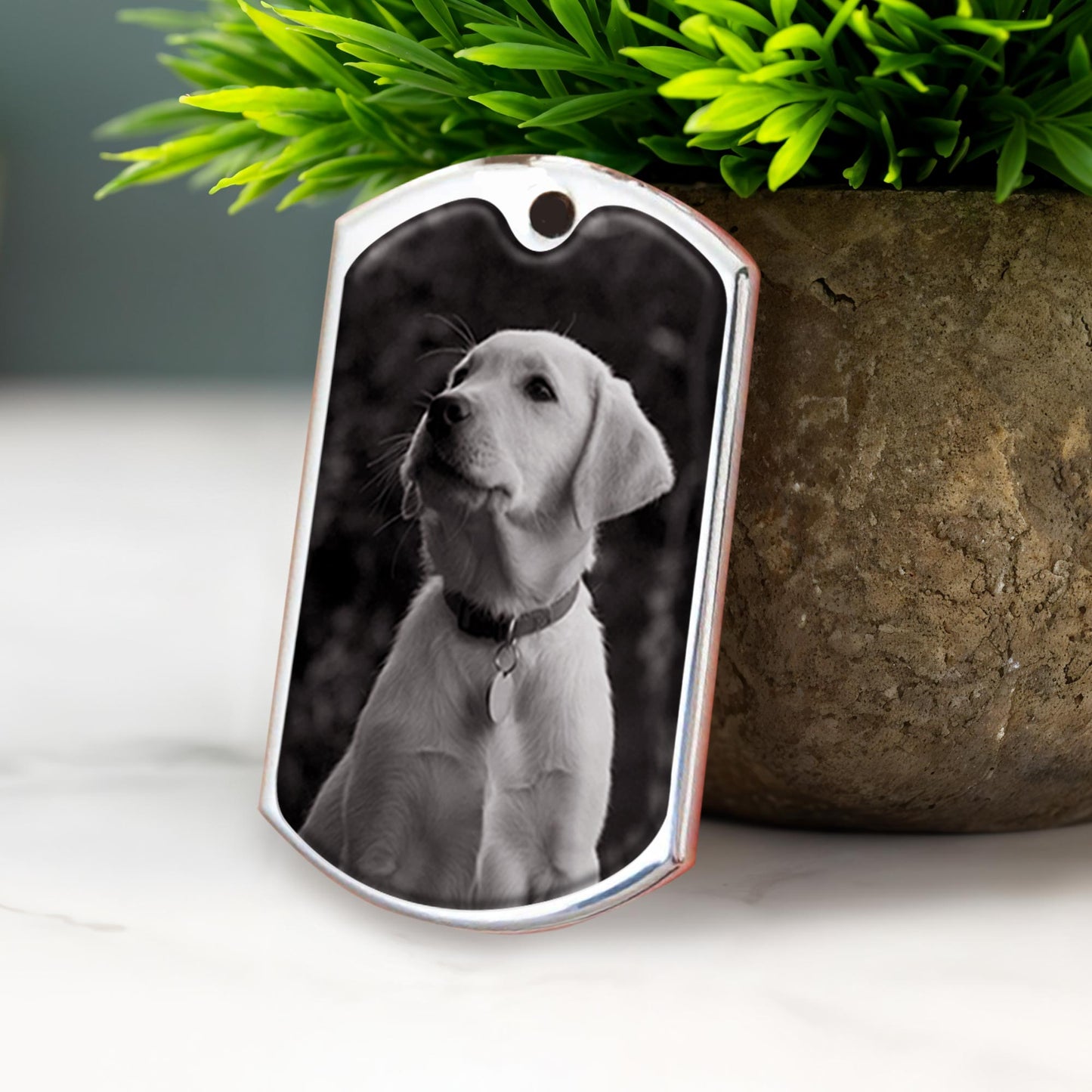 Best Friends Come Into Our Lives And Leave Pawprints On Our Hearts, Dog And Pawprints