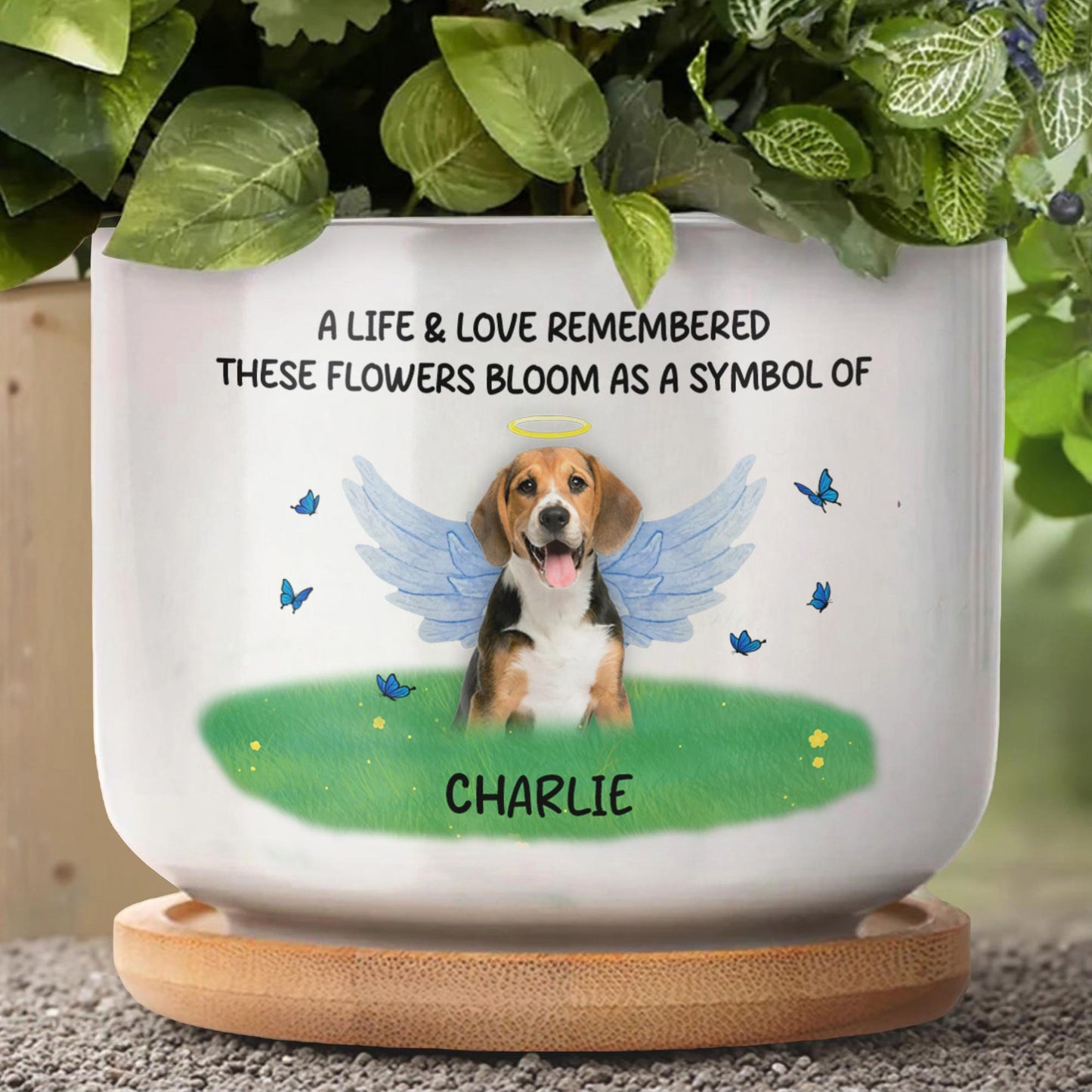 A Life & Love Remembered These Flowers Bloom As A Symbol Of, Dog With Wings