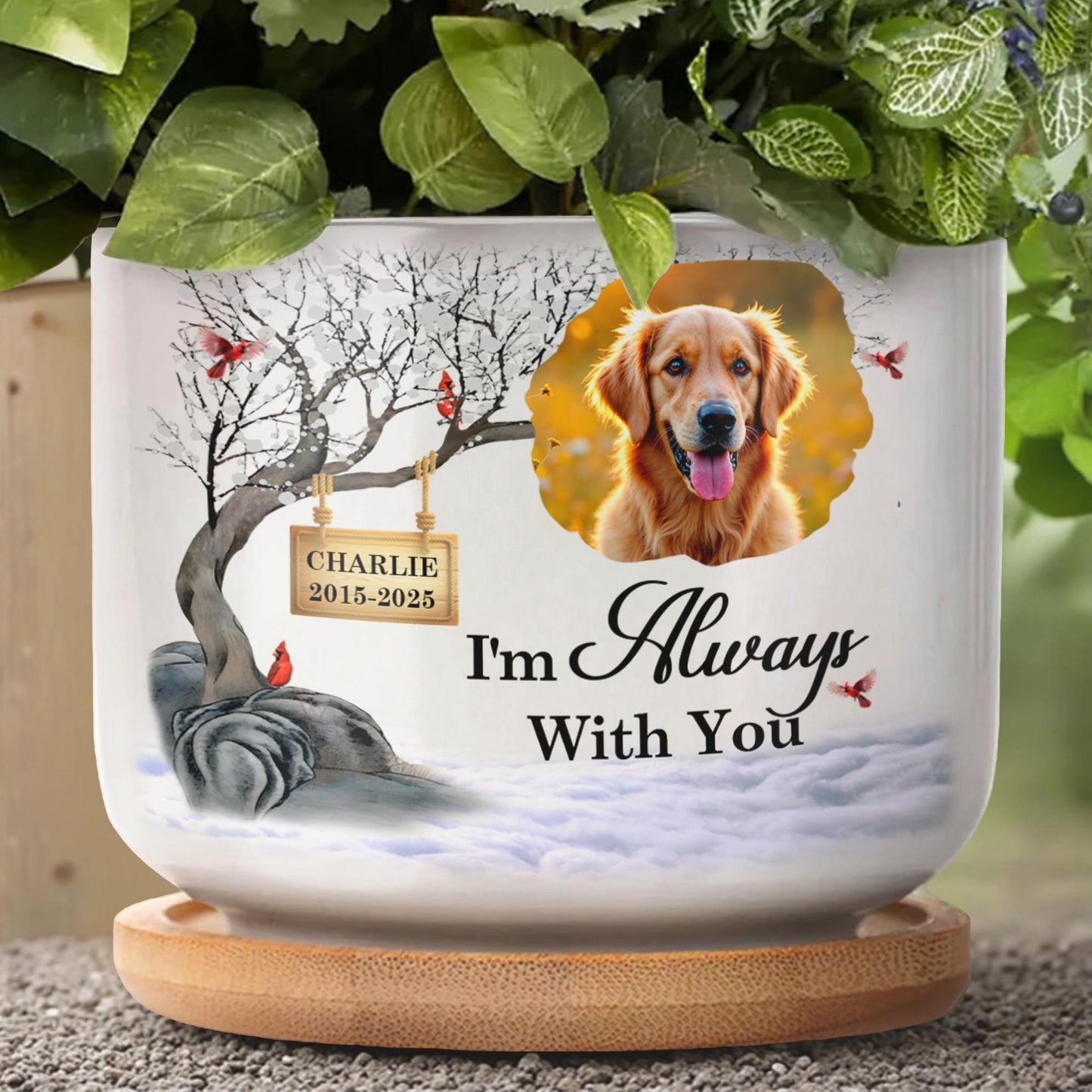 I'm Always With You, Golden Retriever and Cardinal Birds