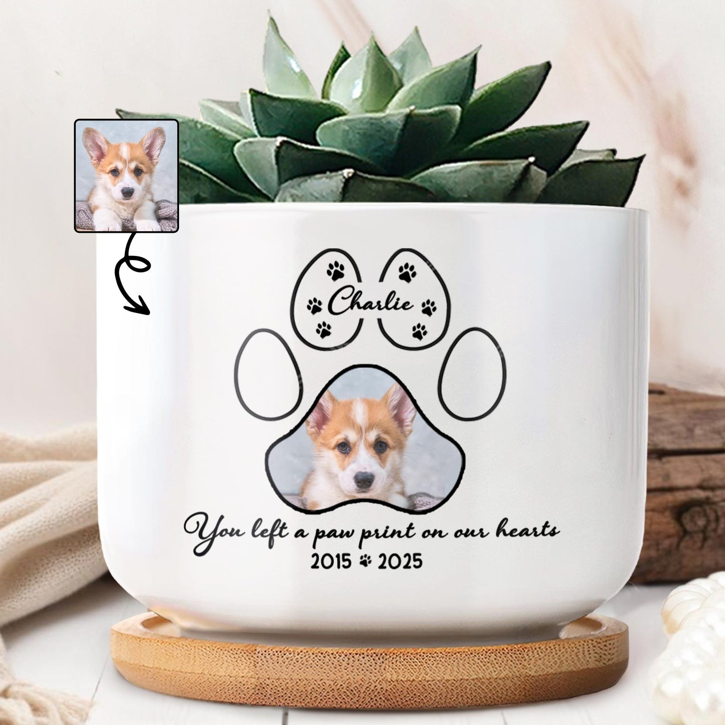 You Left A Paw Print On Our Hearts, Paw Prints And Dog Photo