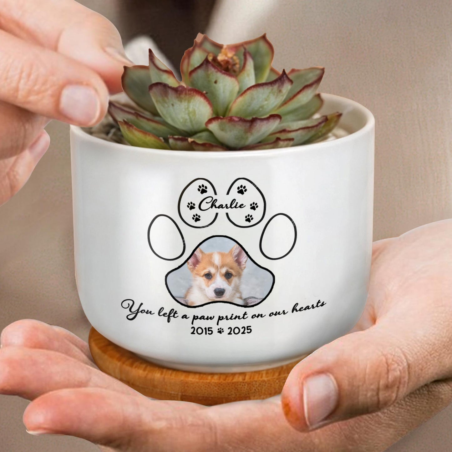 You Left A Paw Print On Our Hearts, Paw Prints And Dog Photo