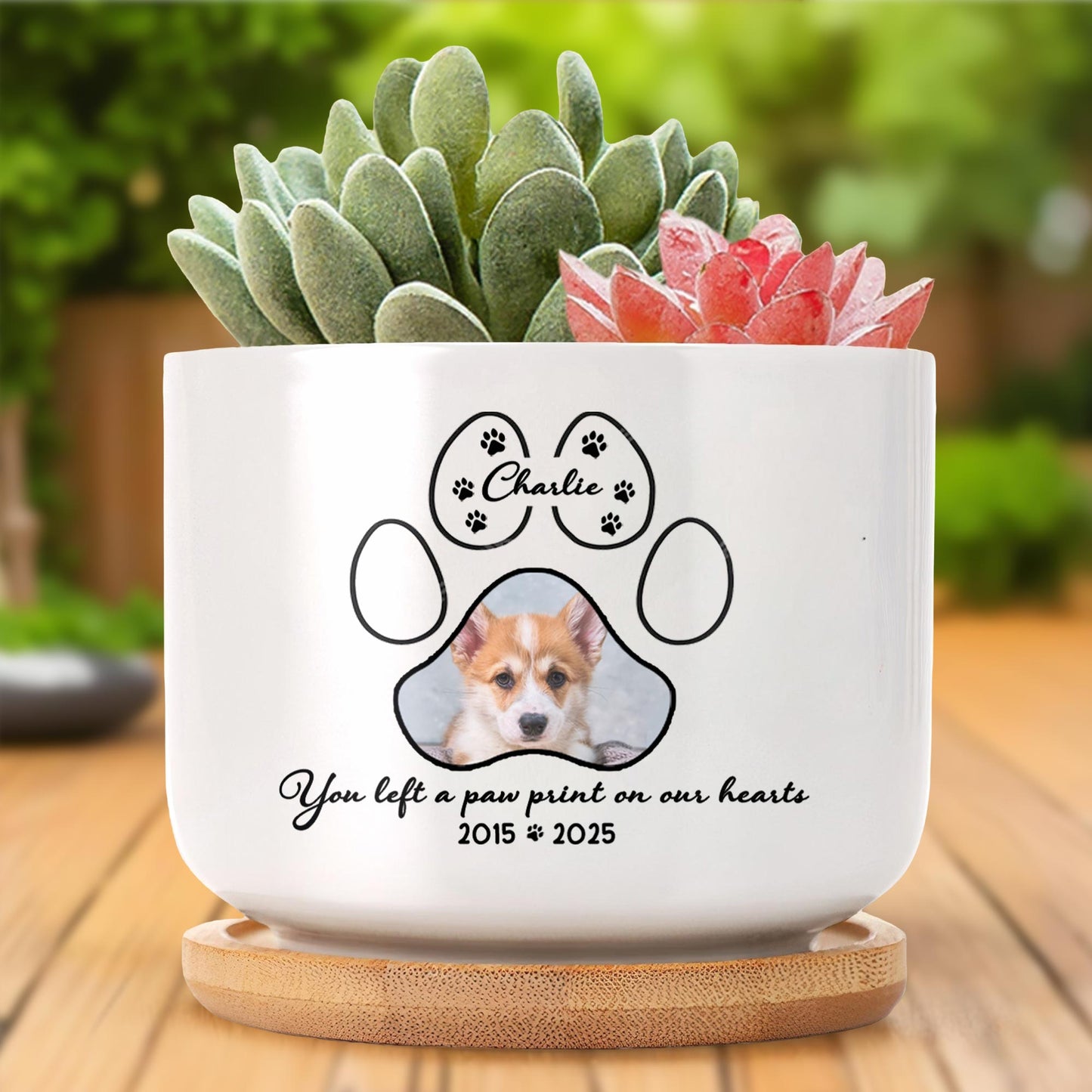 You Left A Paw Print On Our Hearts, Paw Prints And Dog Photo