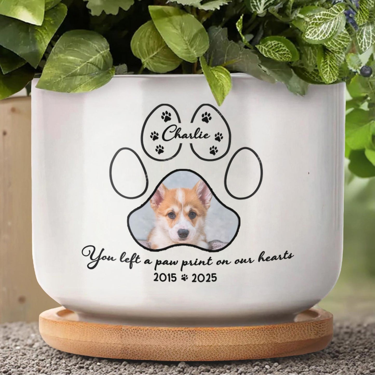 You Left A Paw Print On Our Hearts, Paw Prints And Dog Photo
