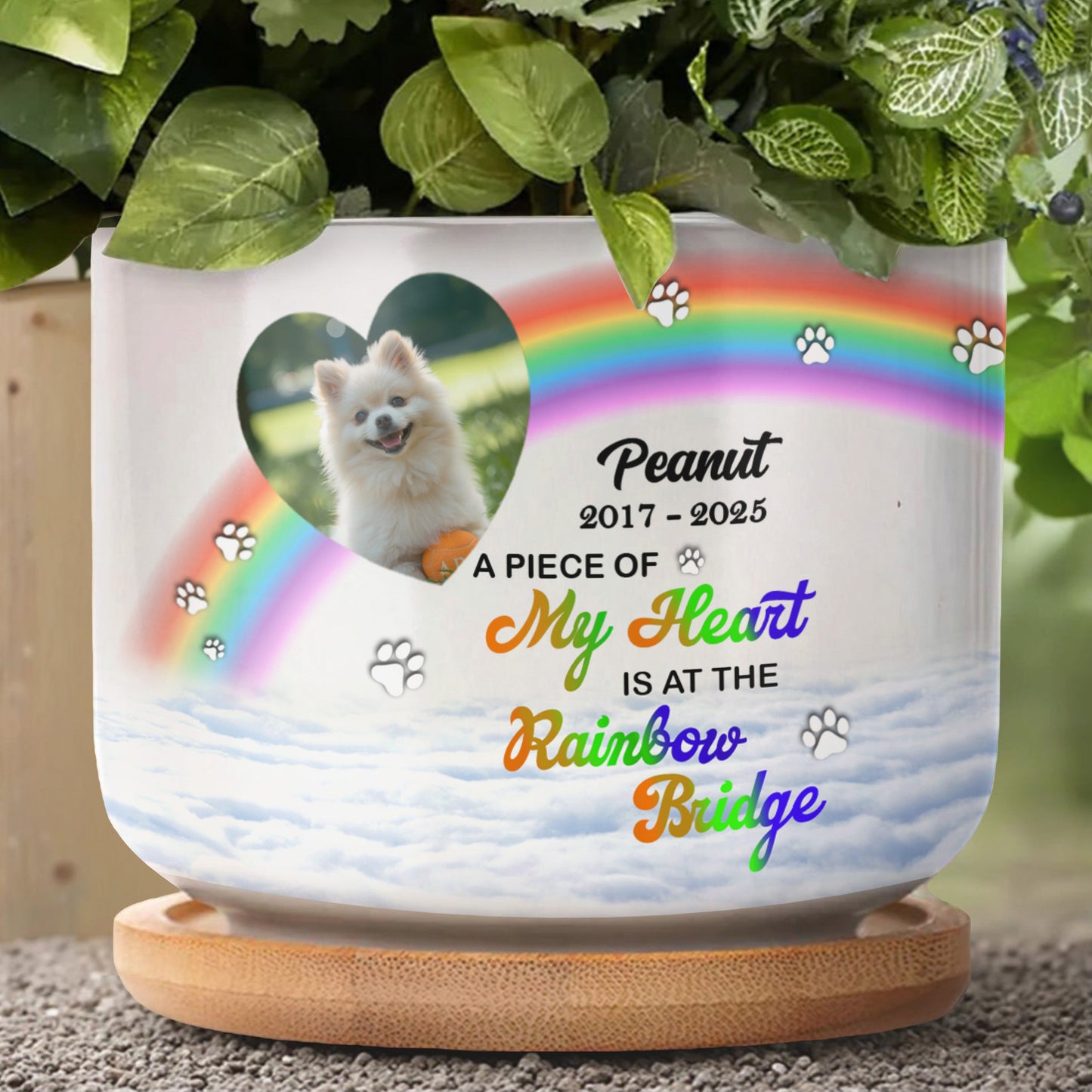 A Piece Of My Heart Is At The Rainbow Bridge, Rainbow and Paw Prints