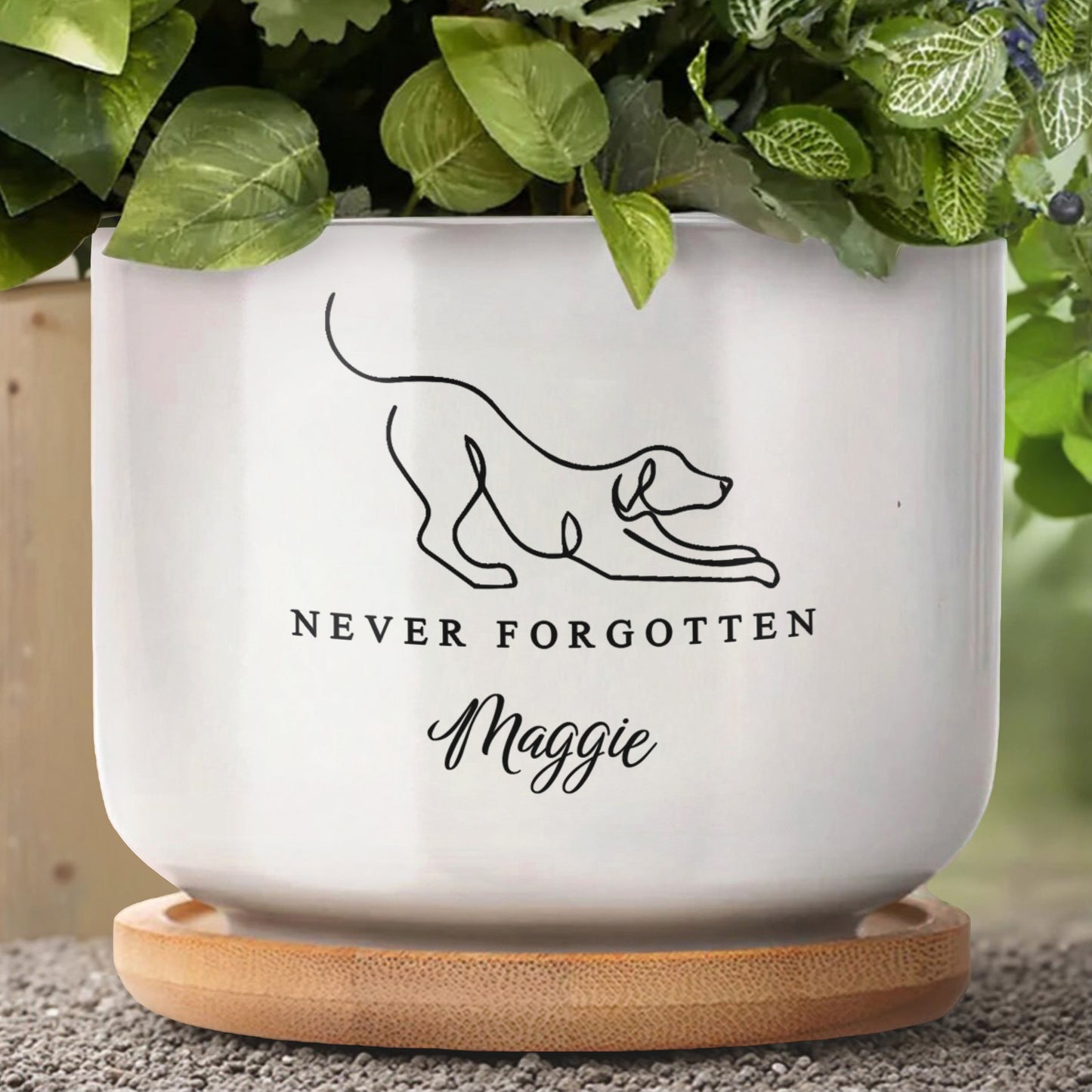Never Forgotten, Dog And Paw Prints