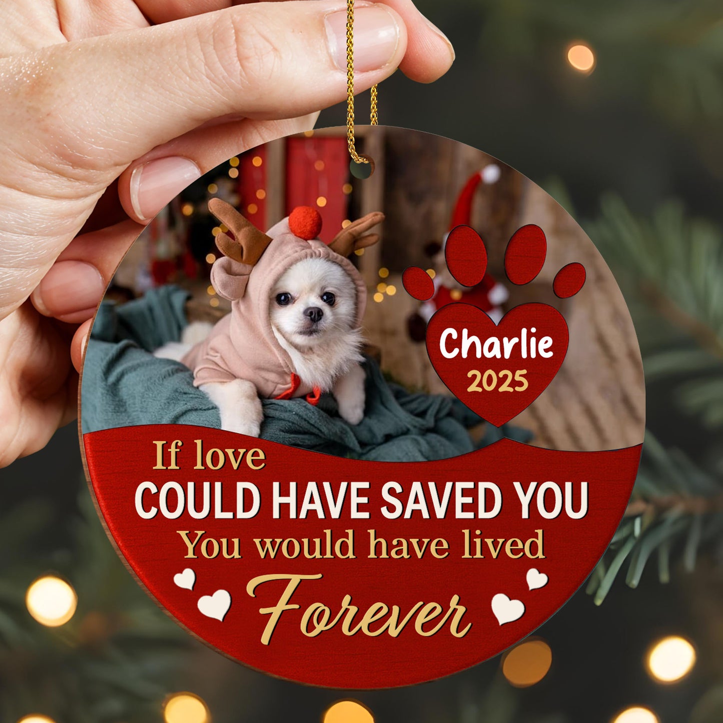 If Love Could Have Saved You, Forever Remembered