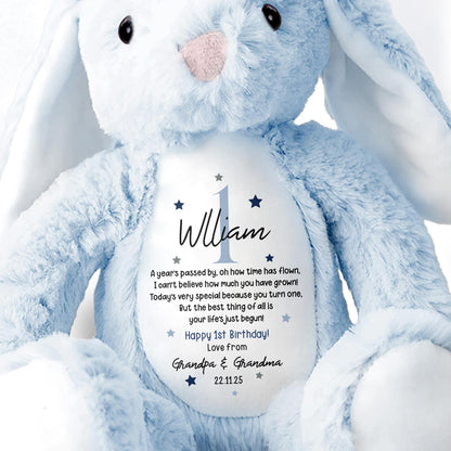A Year's Passed By, Oh How Time Has Flown, Happy 1st Birthday, Personalized Stuffed Bunny With Stars