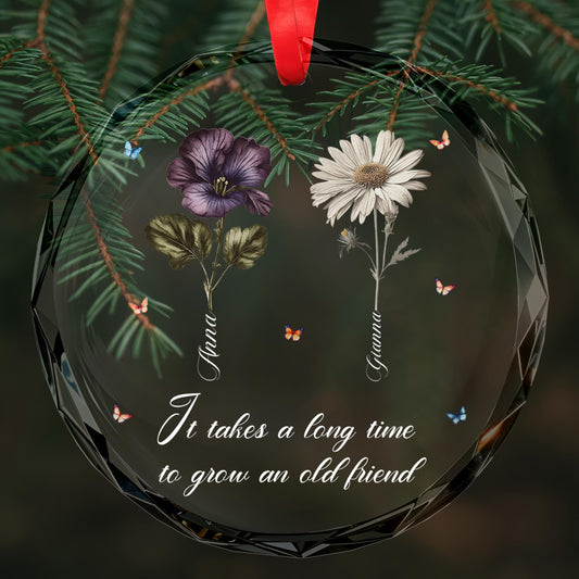 It Takes A Long Time To Grow An Old Friend Circle Ornament