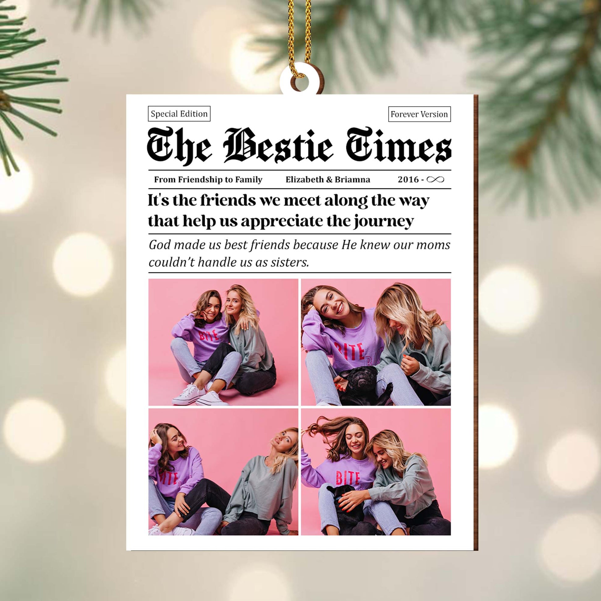 Appreciating The Journey Best Friends Photos Ornament