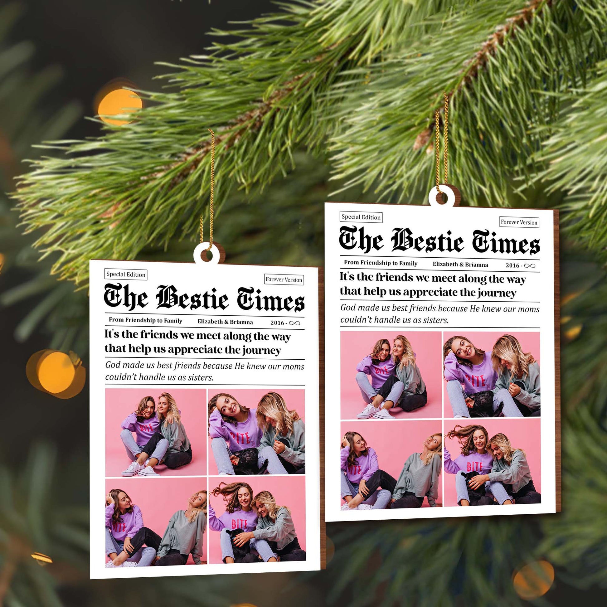 Appreciating The Journey Best Friends Photos Ornament