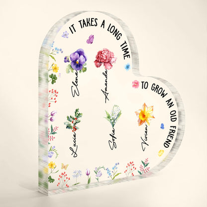 It Takes A Long Time To Grow An Old Friend With Beautiful Flowers