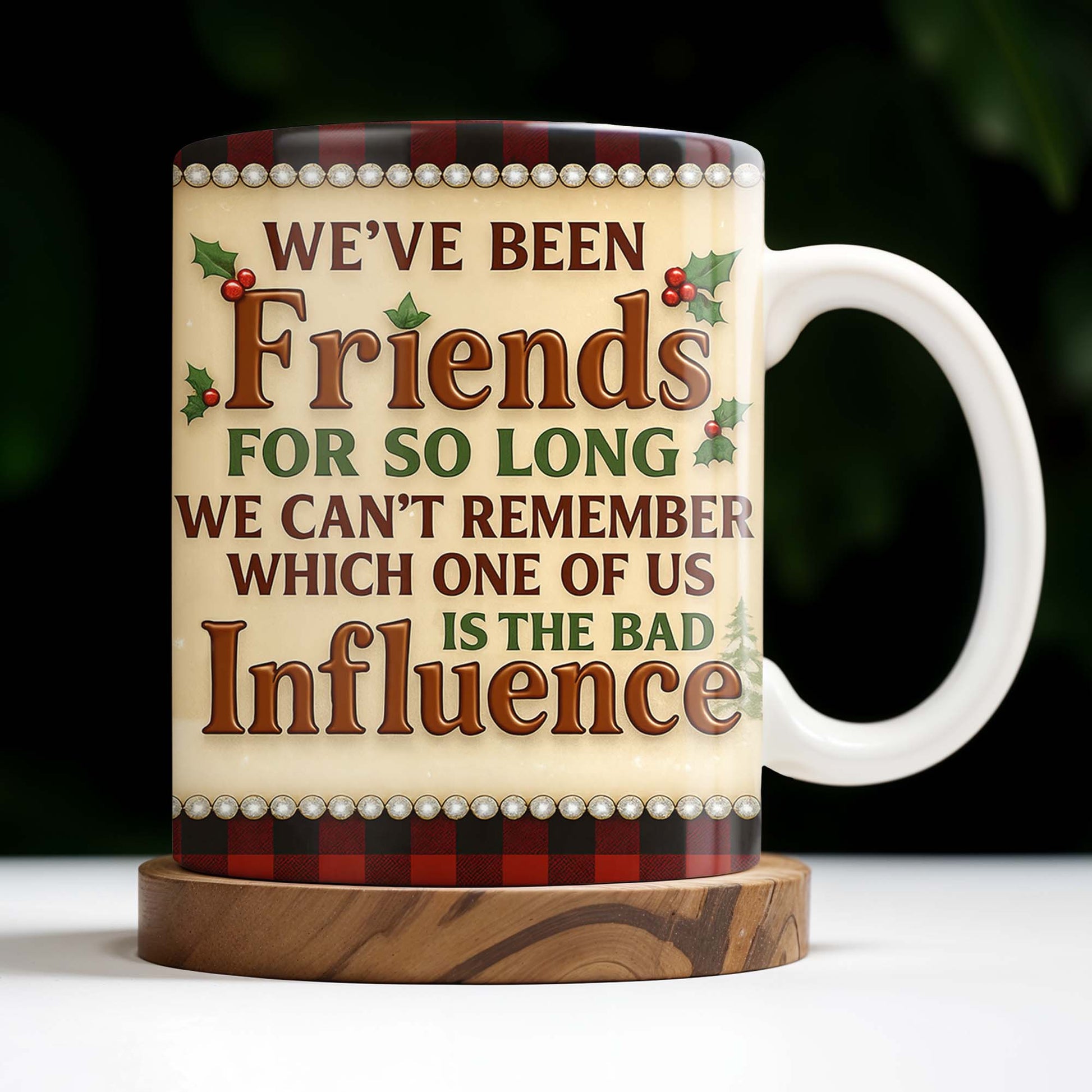 We've Been Friends For So Long, Holly Berries, Plaid Mug