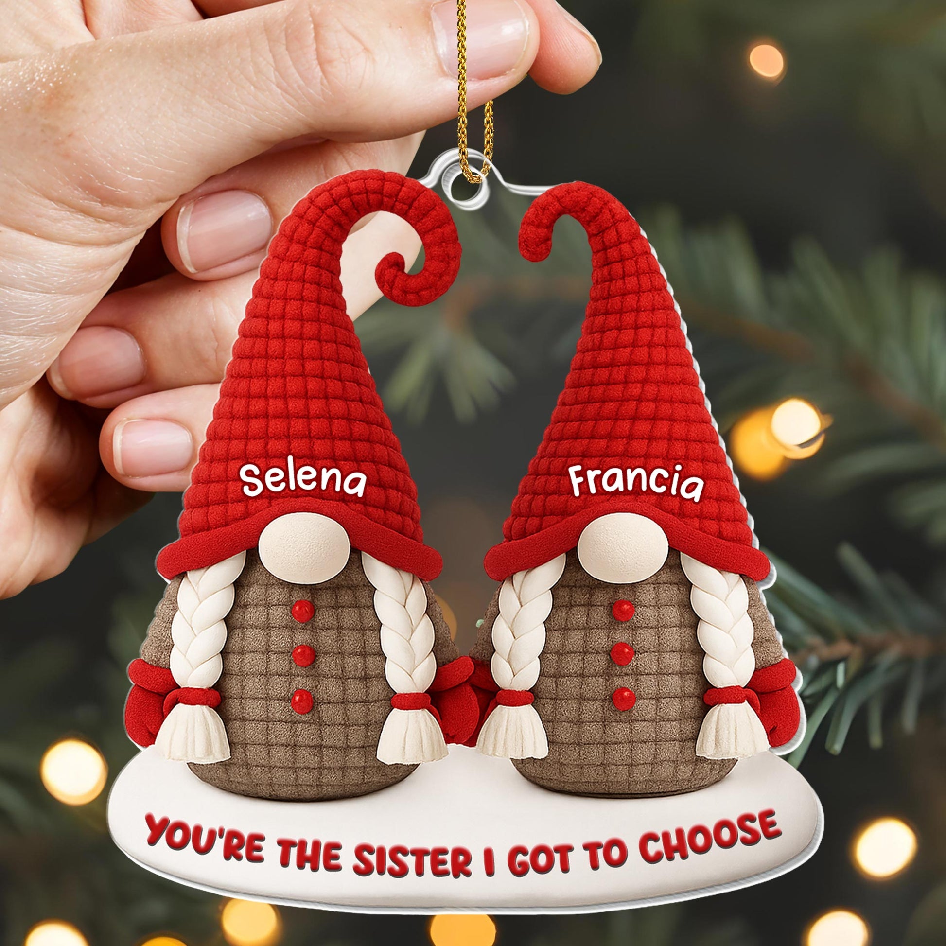 You're The Sister I Got To Choose Gnomes