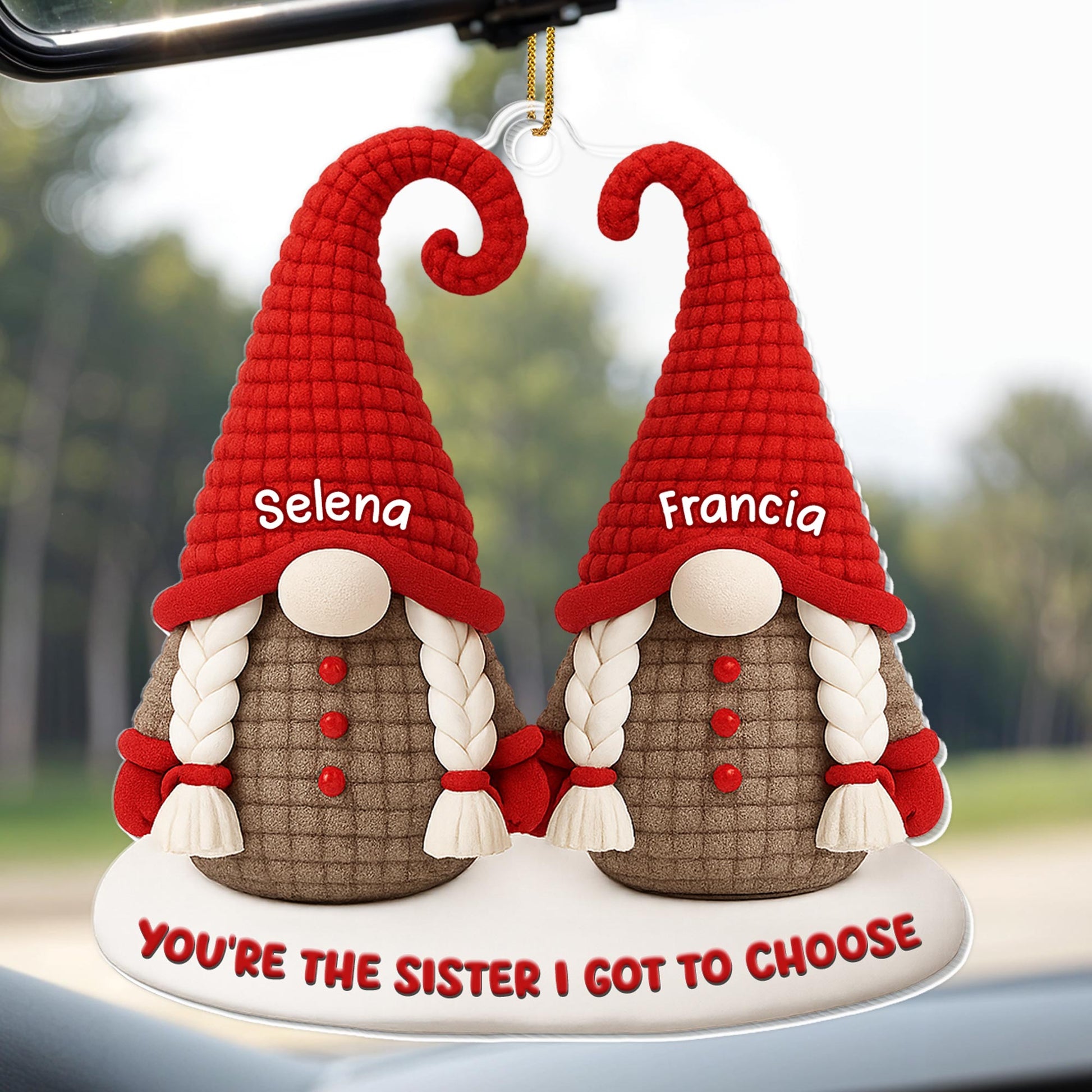 You're The Sister I Got To Choose Gnomes