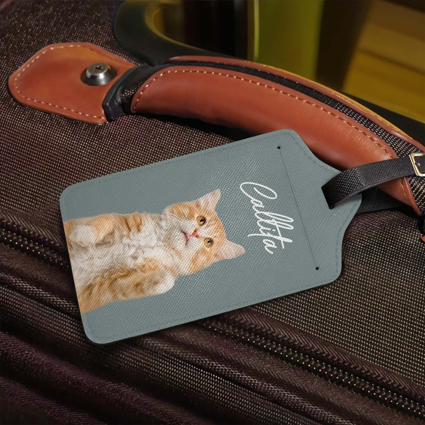Celebrate Your Love for Cats with Charming Cat Design