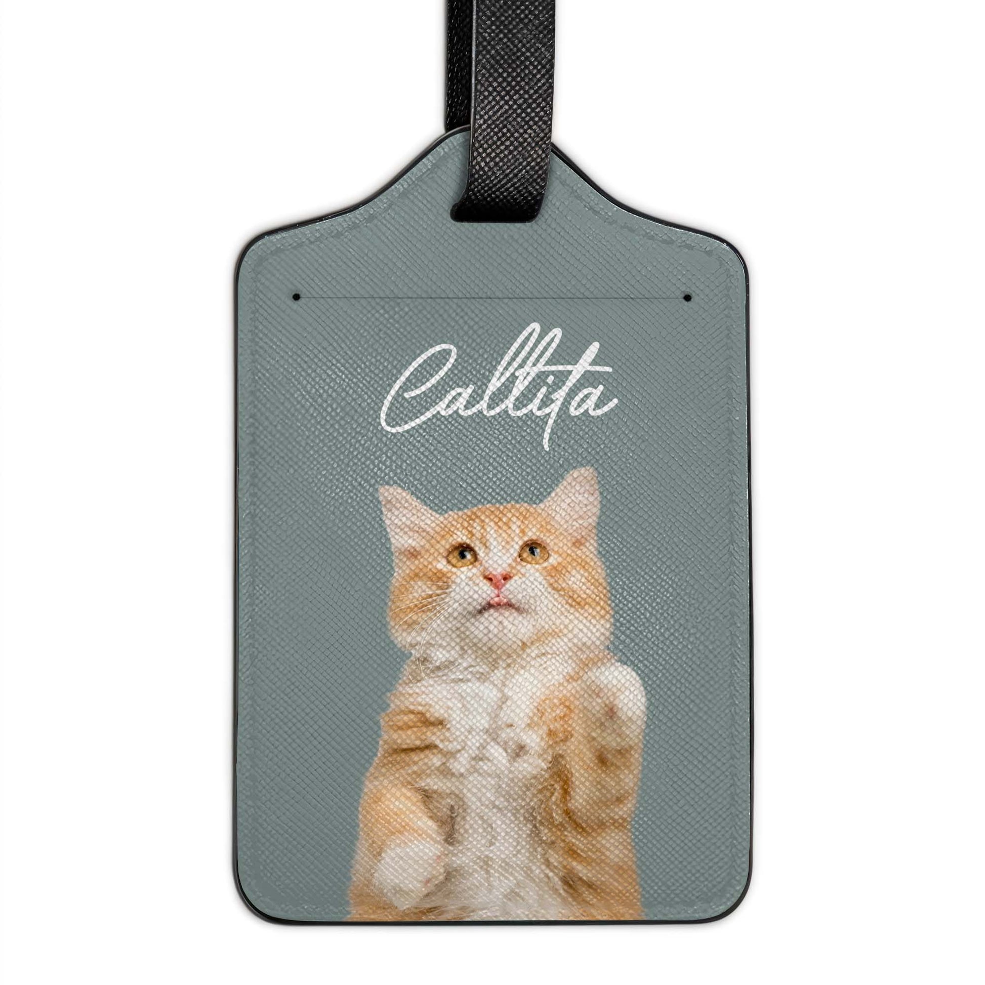 Celebrate Your Love for Cats with Charming Cat Design