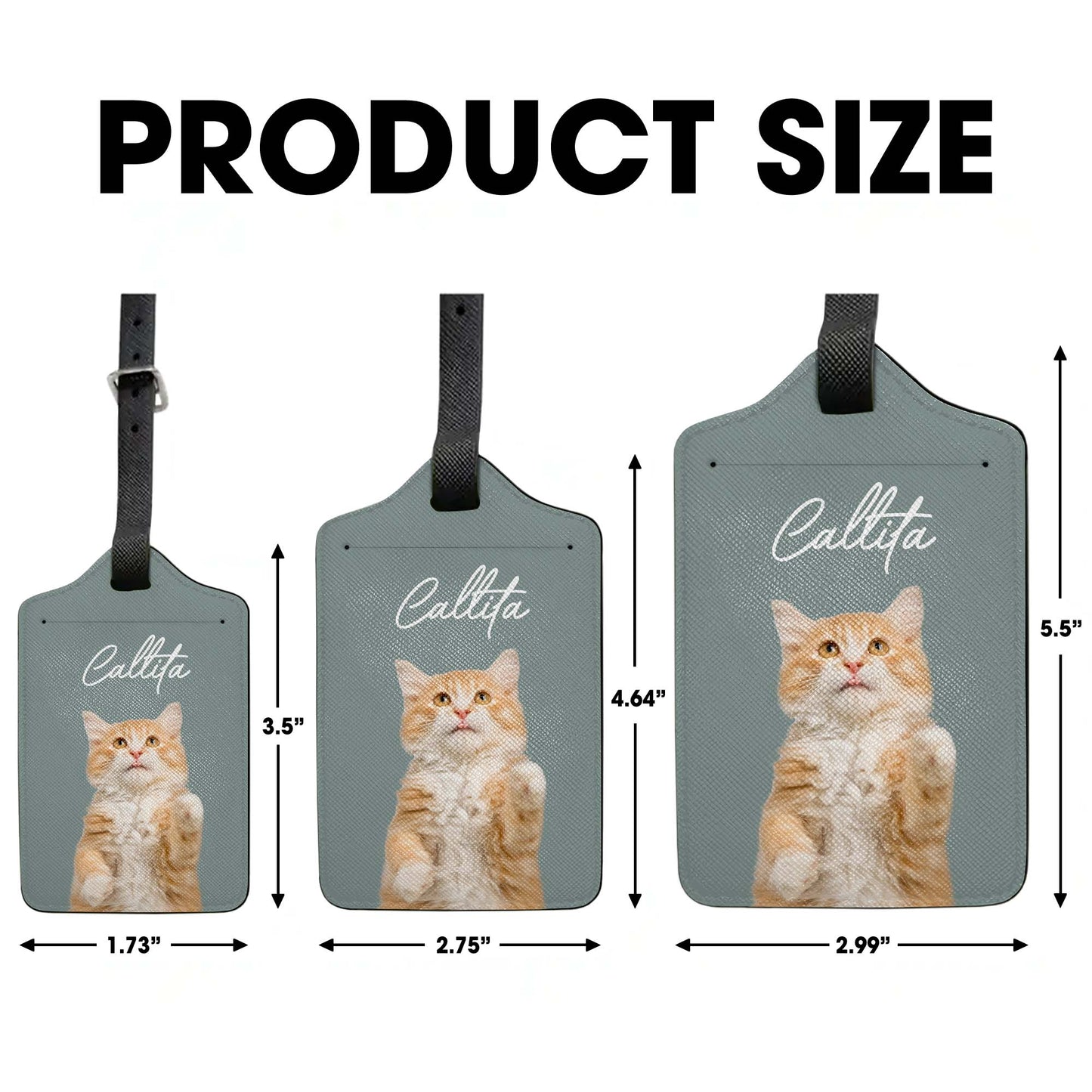 Celebrate Your Love for Cats with Charming Cat Design