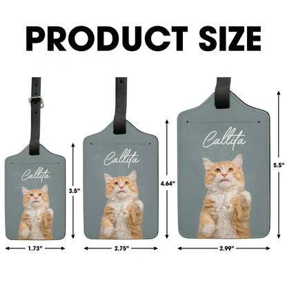 Celebrate Your Love for Cats with Charming Cat Design