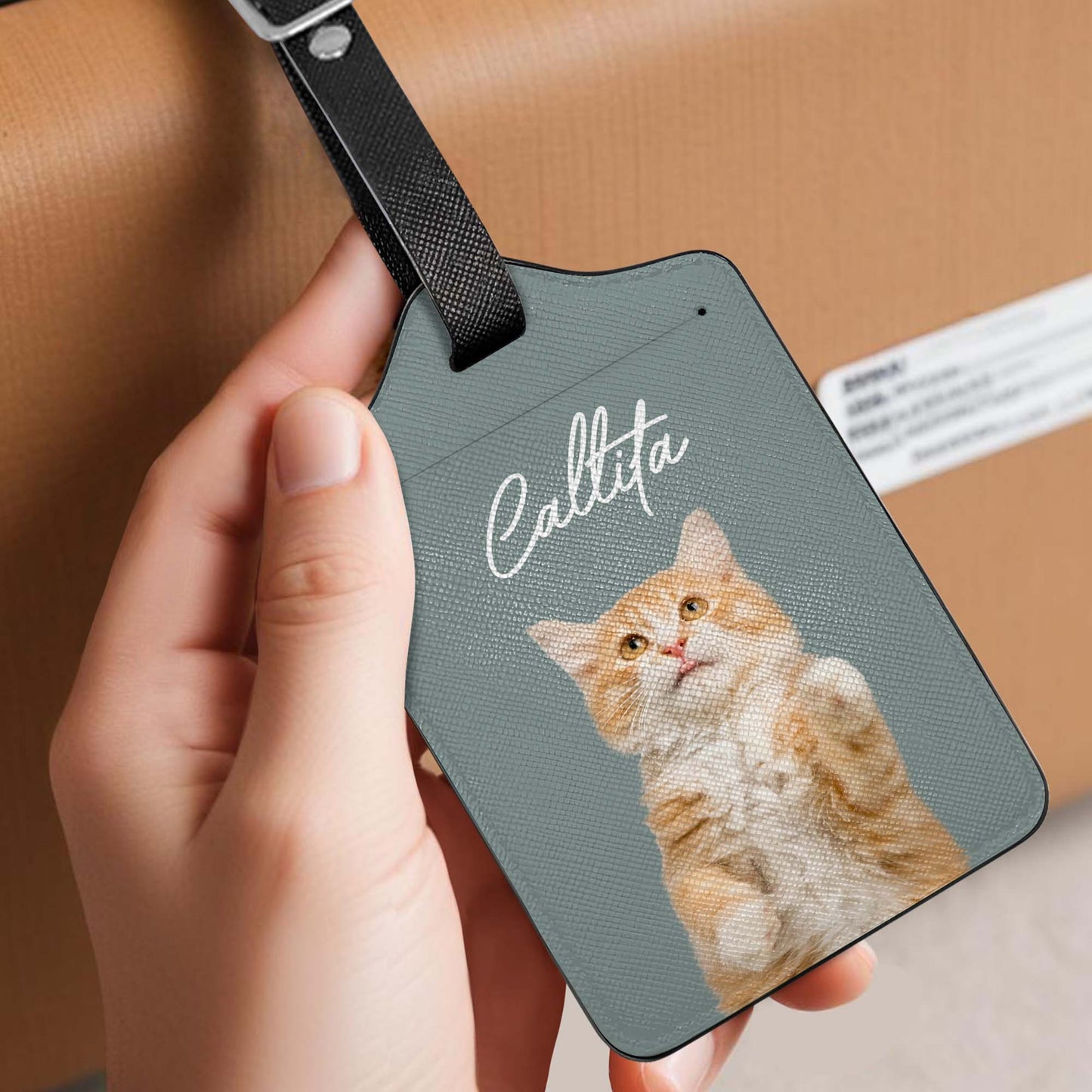 Celebrate Your Love for Cats with Charming Cat Design