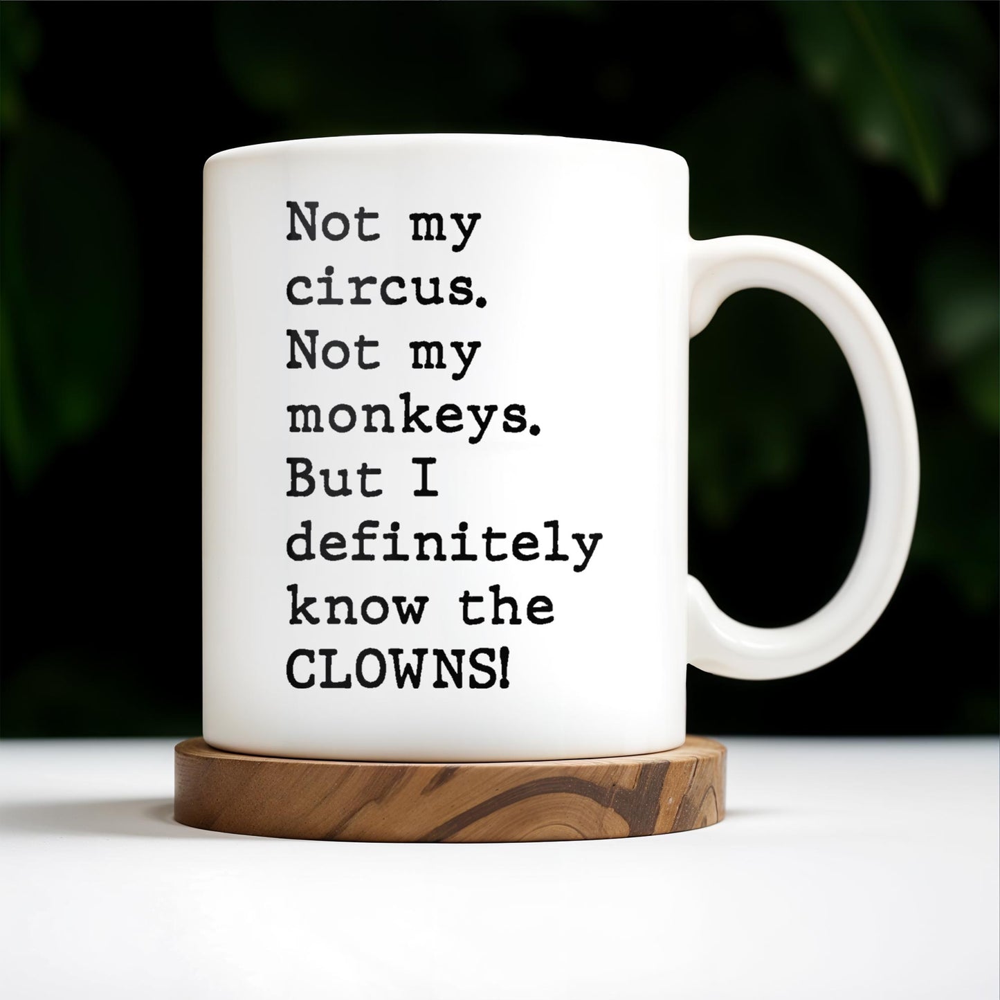 Not My Circus, Not My Monkeys, Know The Clowns Mug